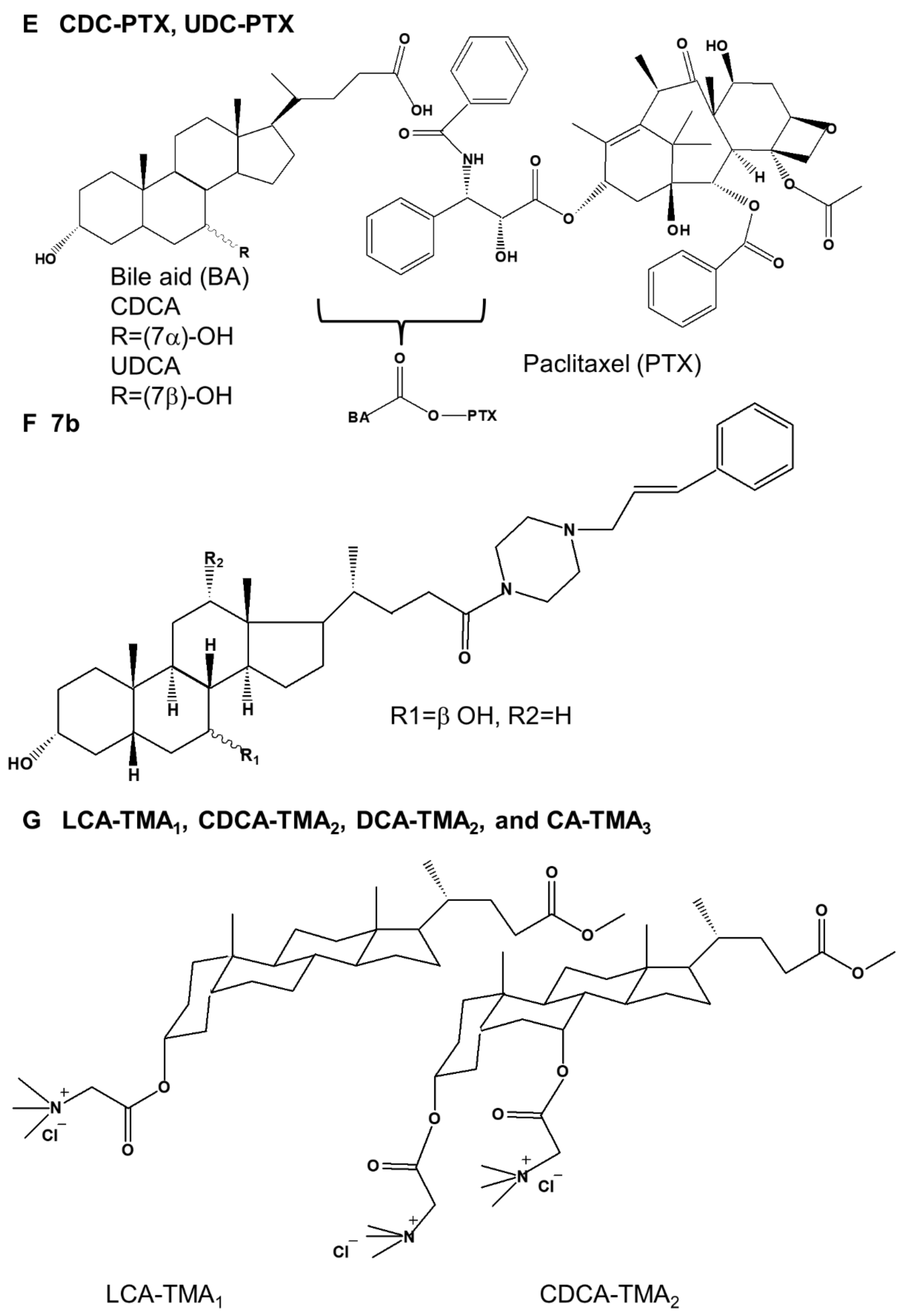 Ijms 23 07184 g003b Ijms 23 07184 g003b