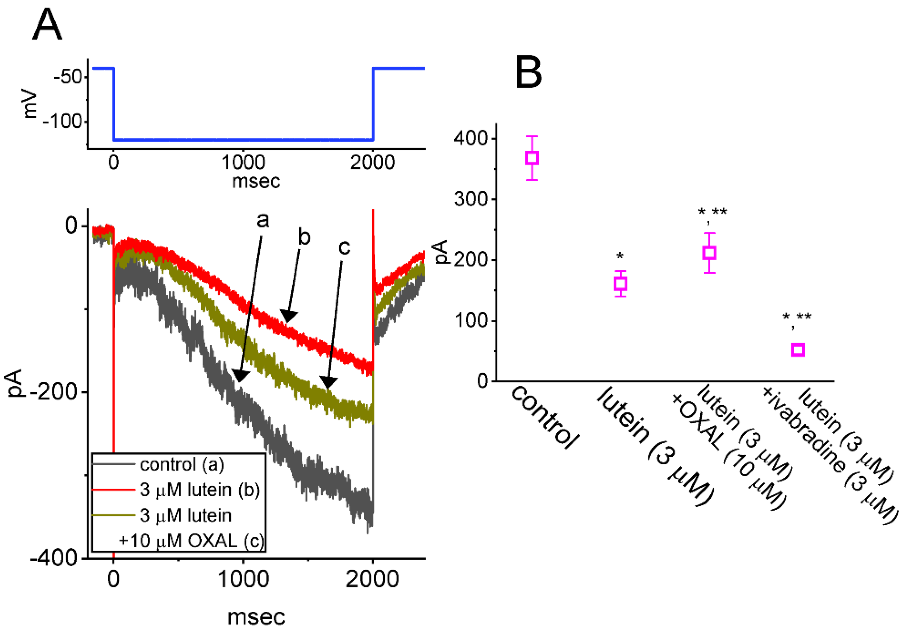 Ijms 23 07186 g003 Ijms 23 07186 g003