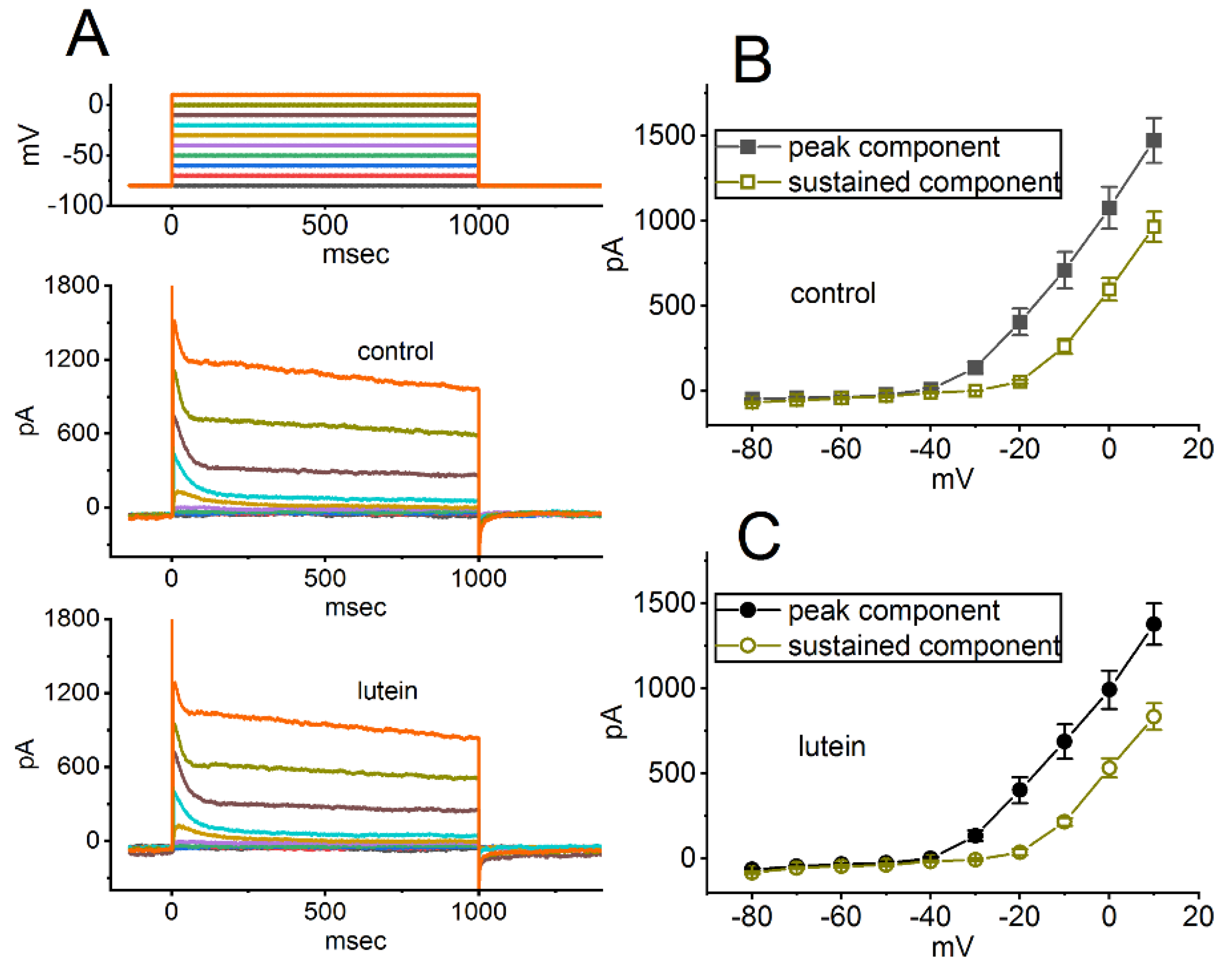 Ijms 23 07186 g005 Ijms 23 07186 g005