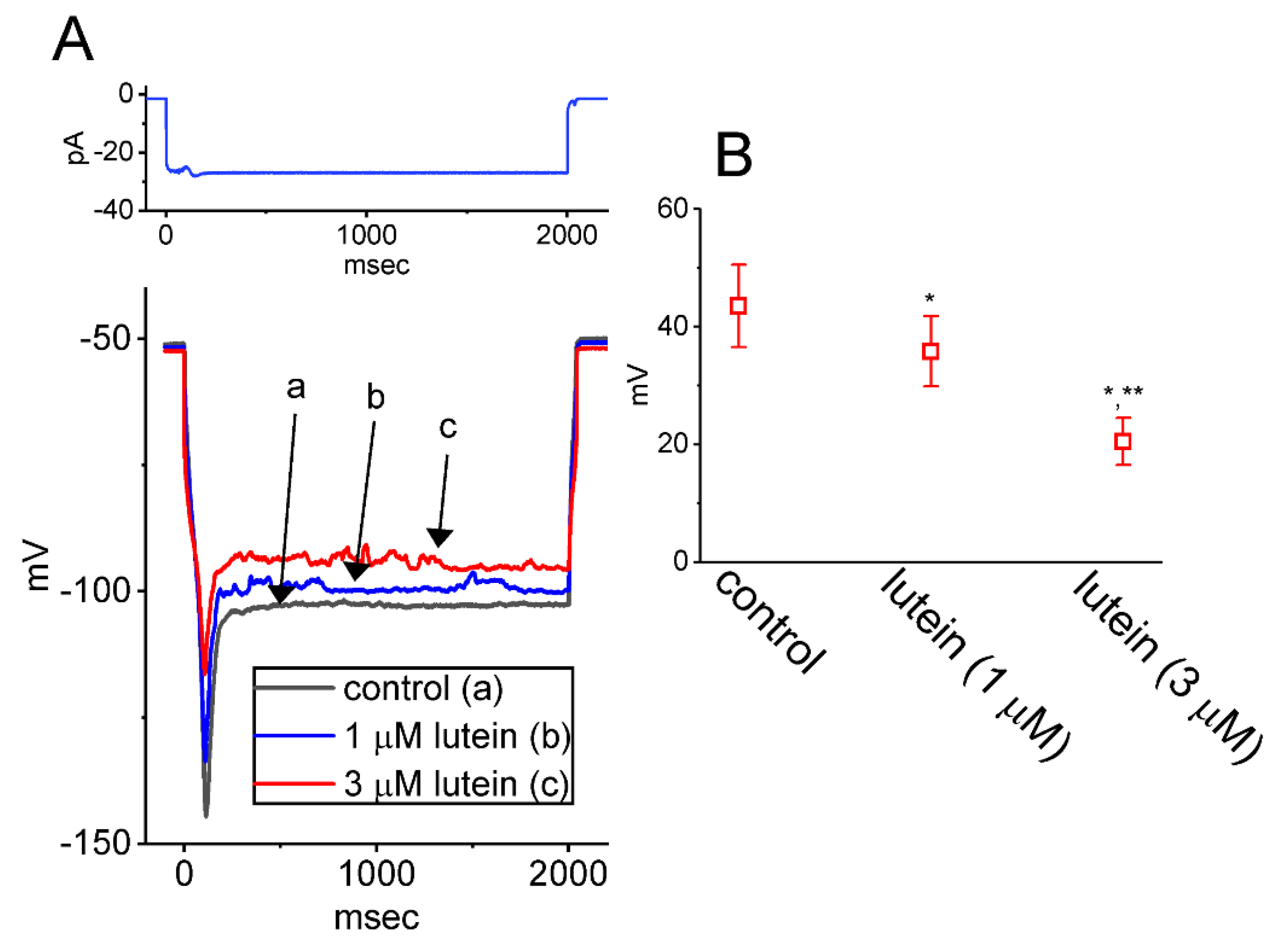 Ijms 23 07186 g007 Ijms 23 07186 g007