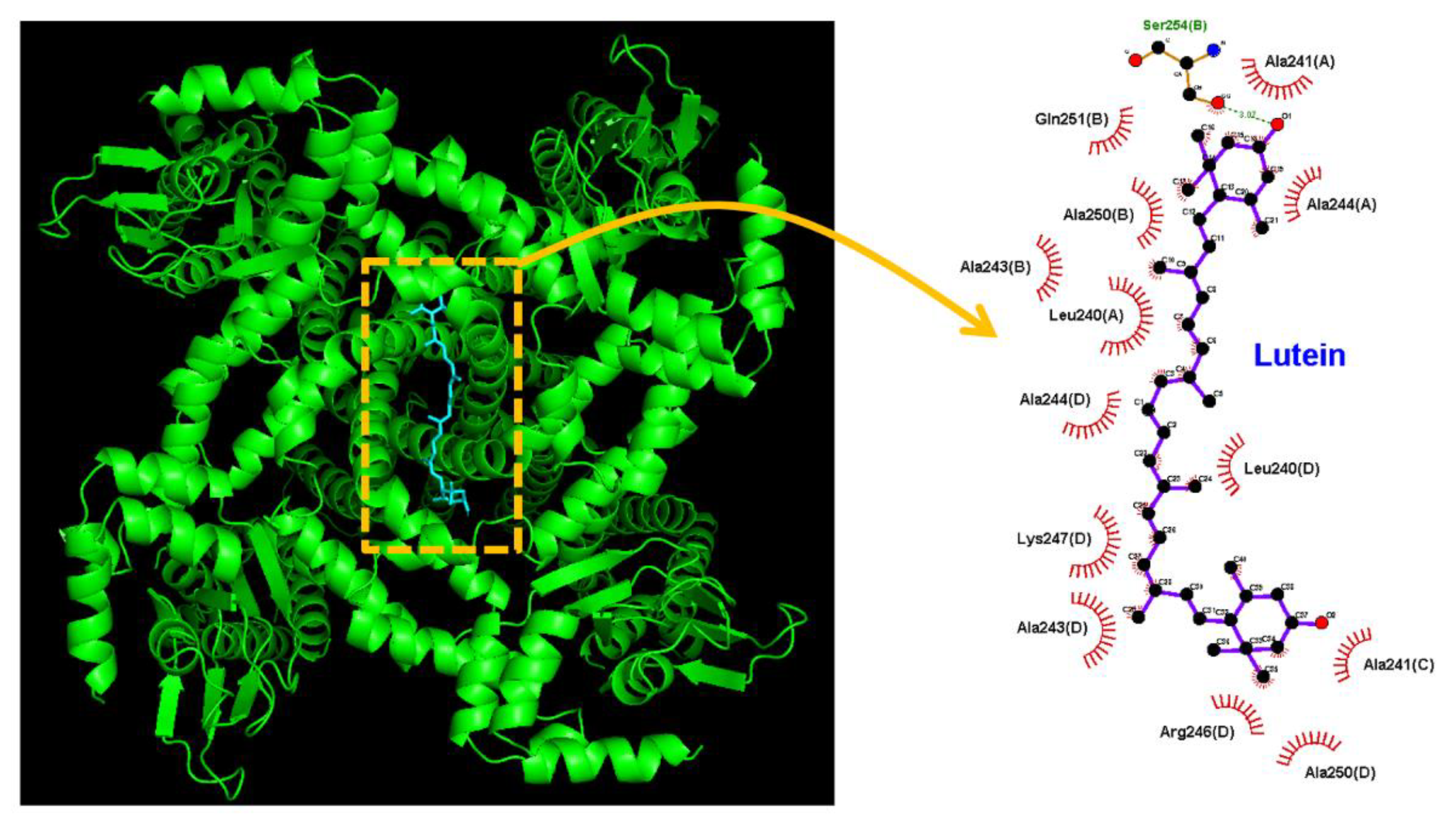 Ijms 23 07186 g008 Ijms 23 07186 g008