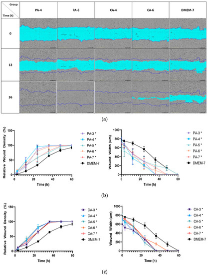 In Vitro Wound Healing Properties of Novel Acidic Treatment Regimen in ...