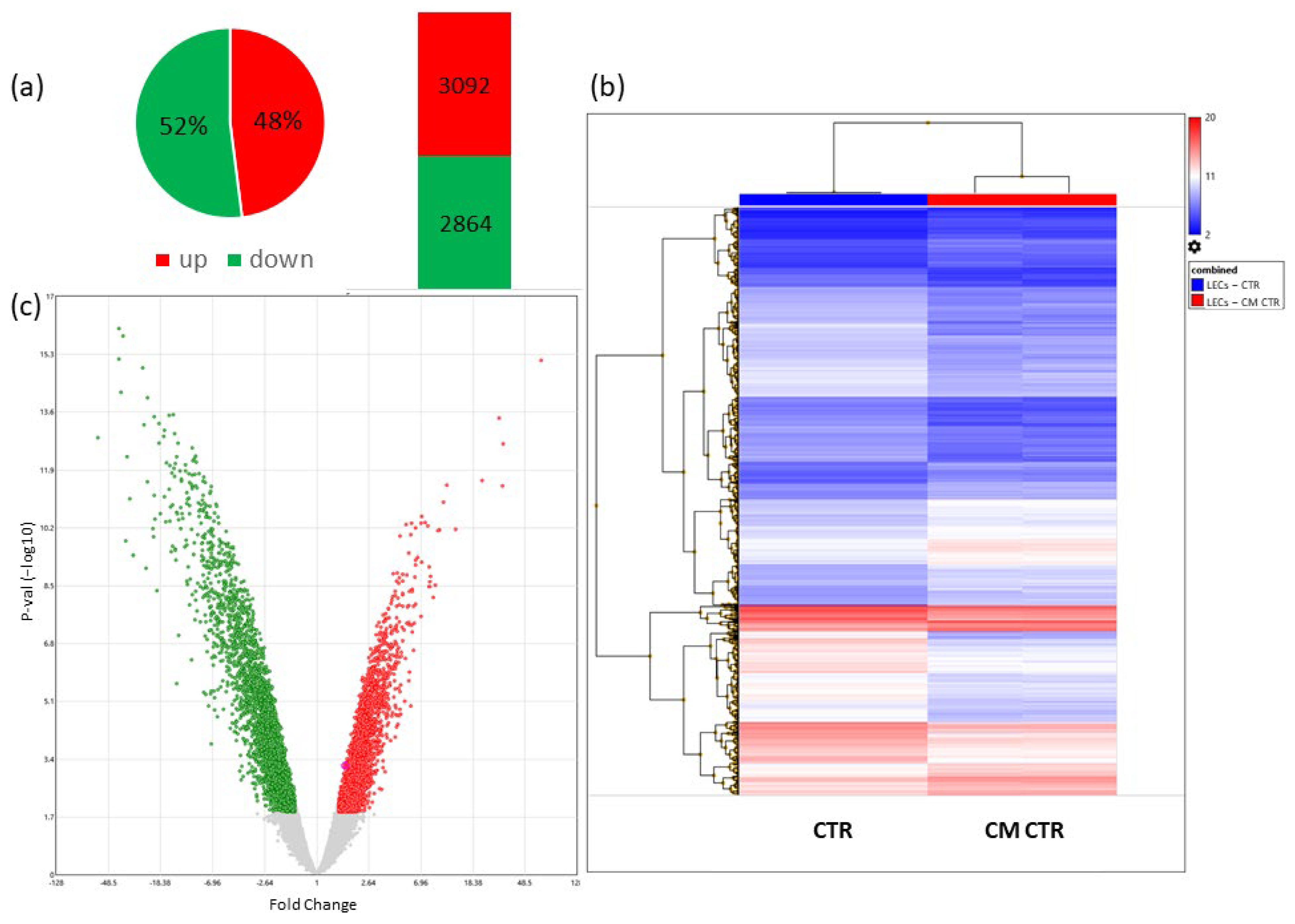 Ijms 23 07192 g008 550