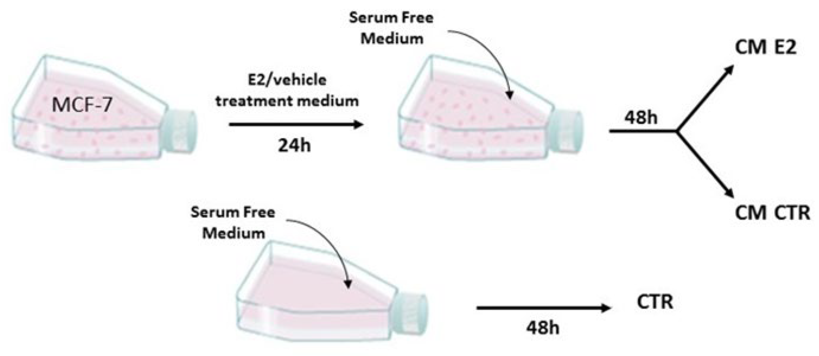 Ijms 23 07192 g014 550