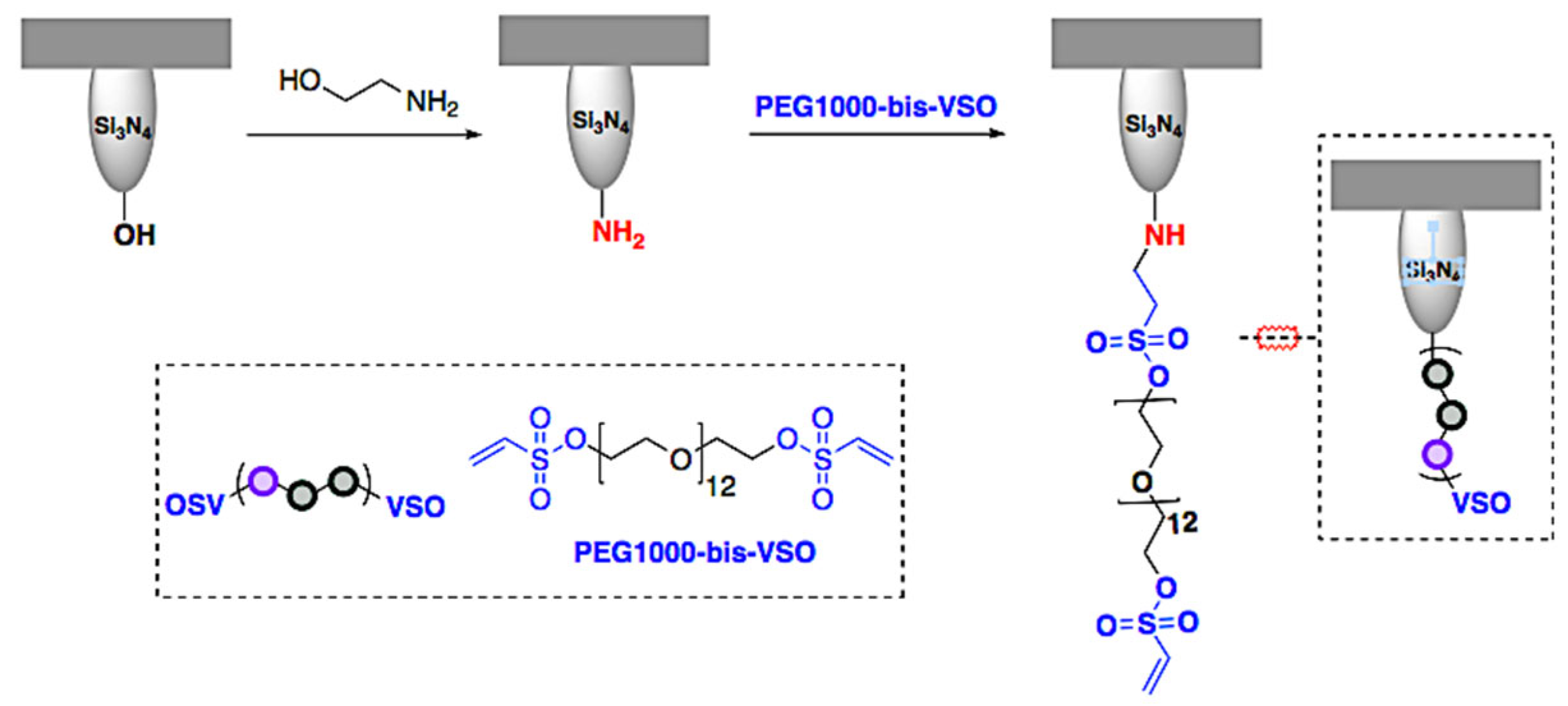 Ijms 23 07193 g001 550
