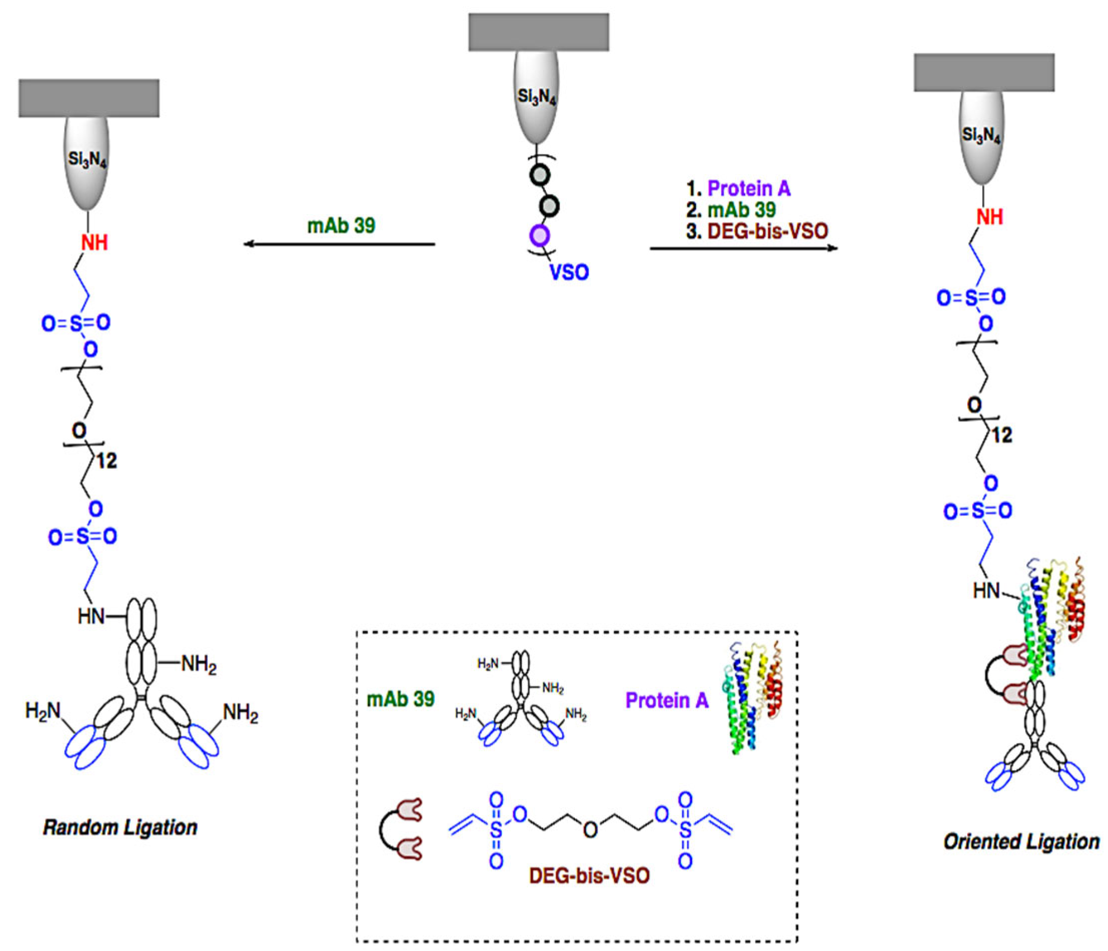 Ijms 23 07193 g002 550