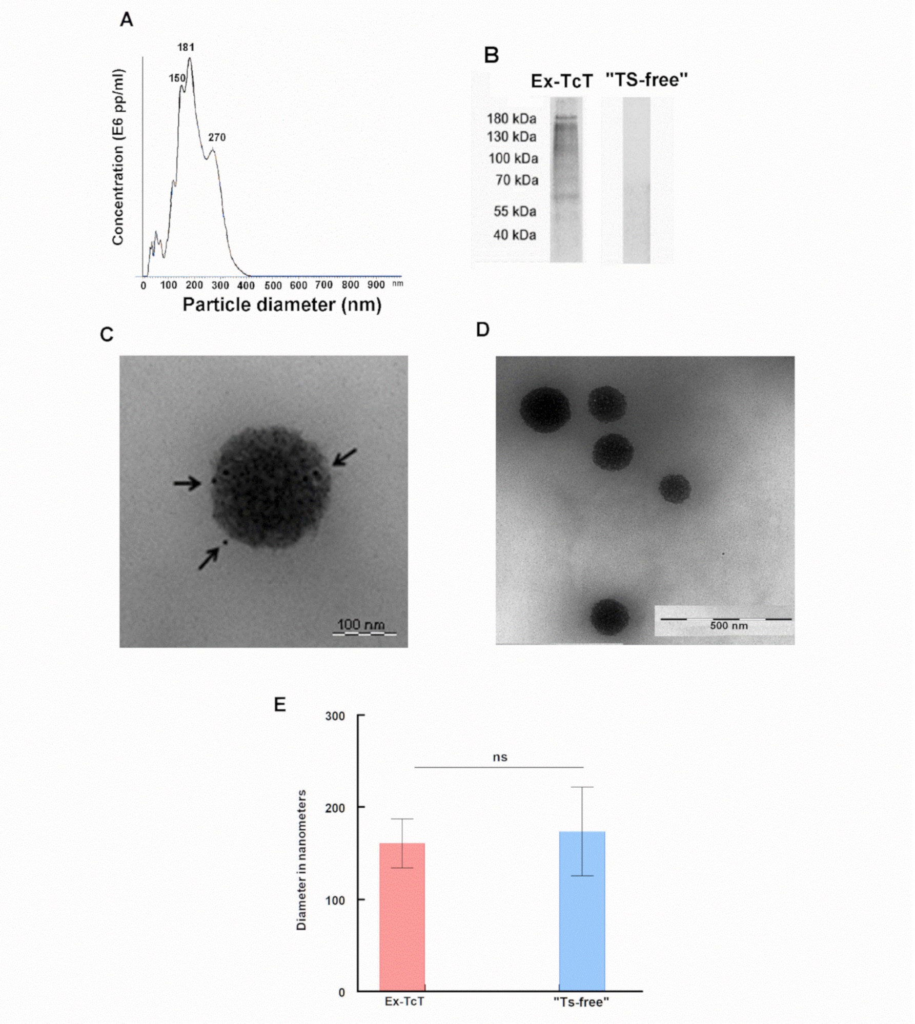 Ijms 23 07193 g003 550