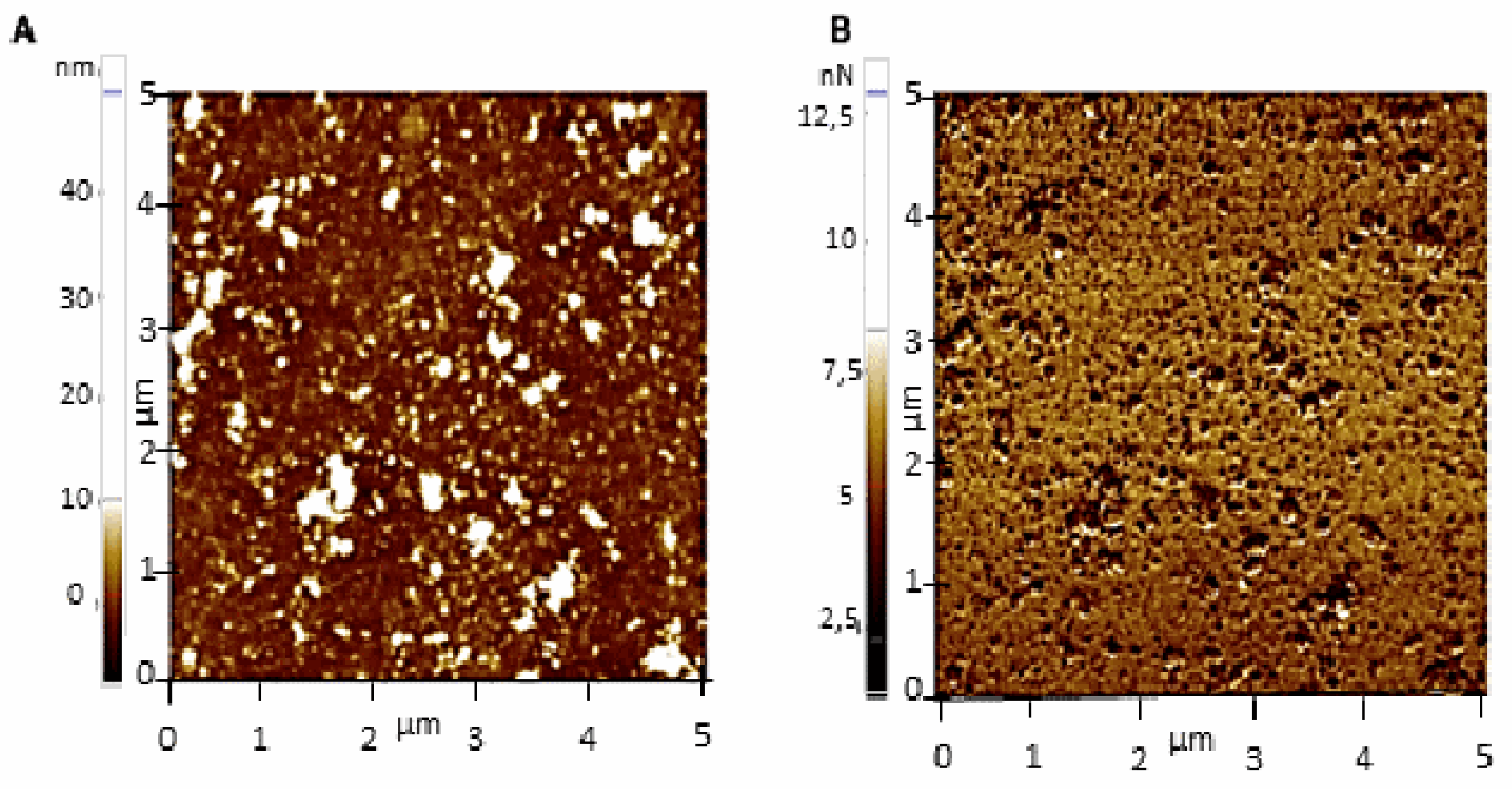 Ijms 23 07193 g009 550