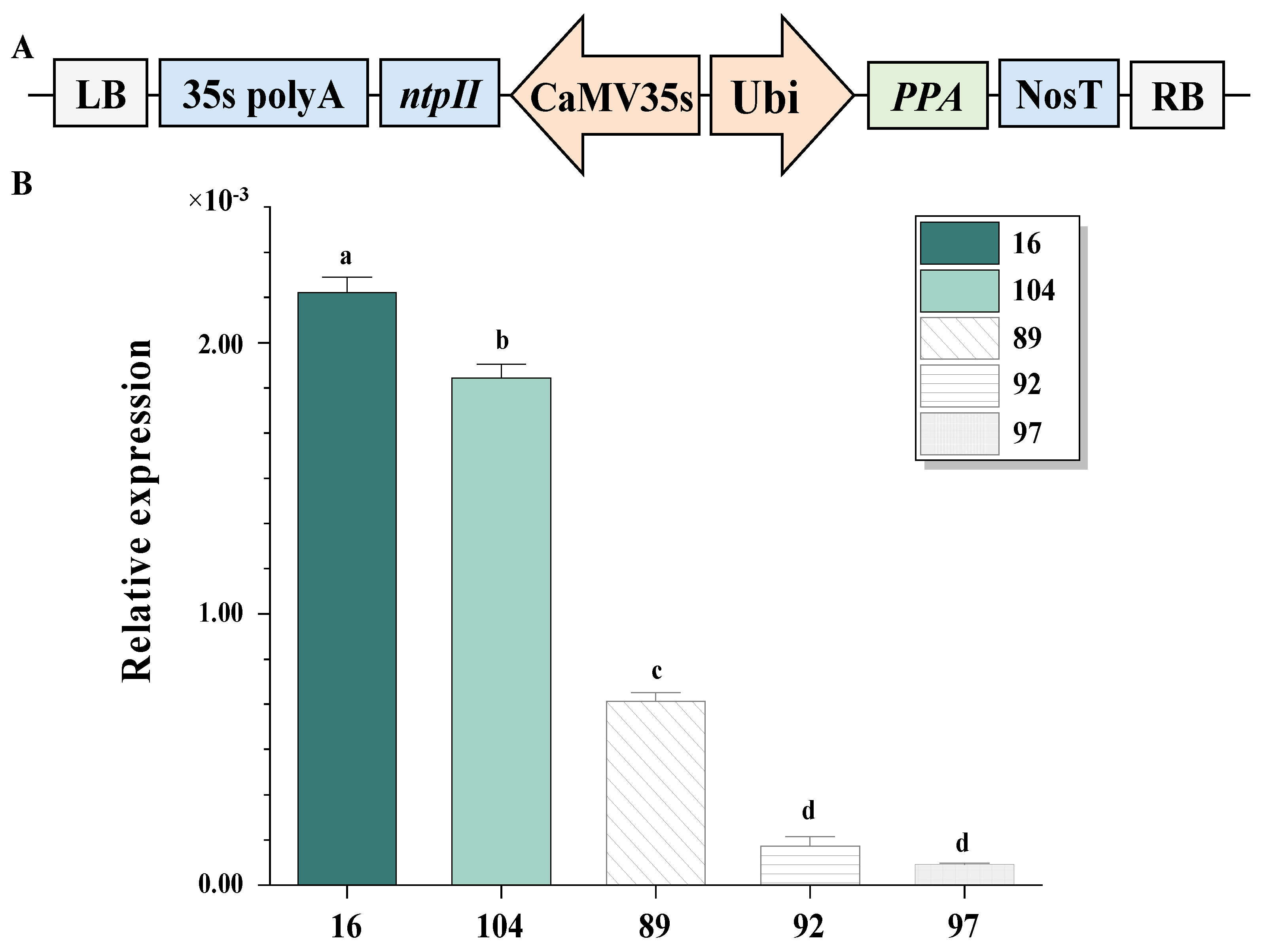 Ijms 23 07195 g001 550