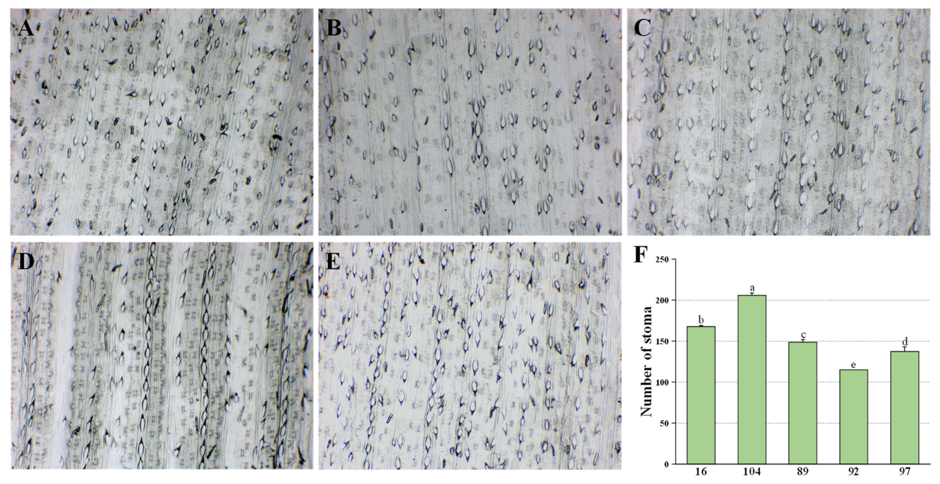 Ijms 23 07195 g005 550
