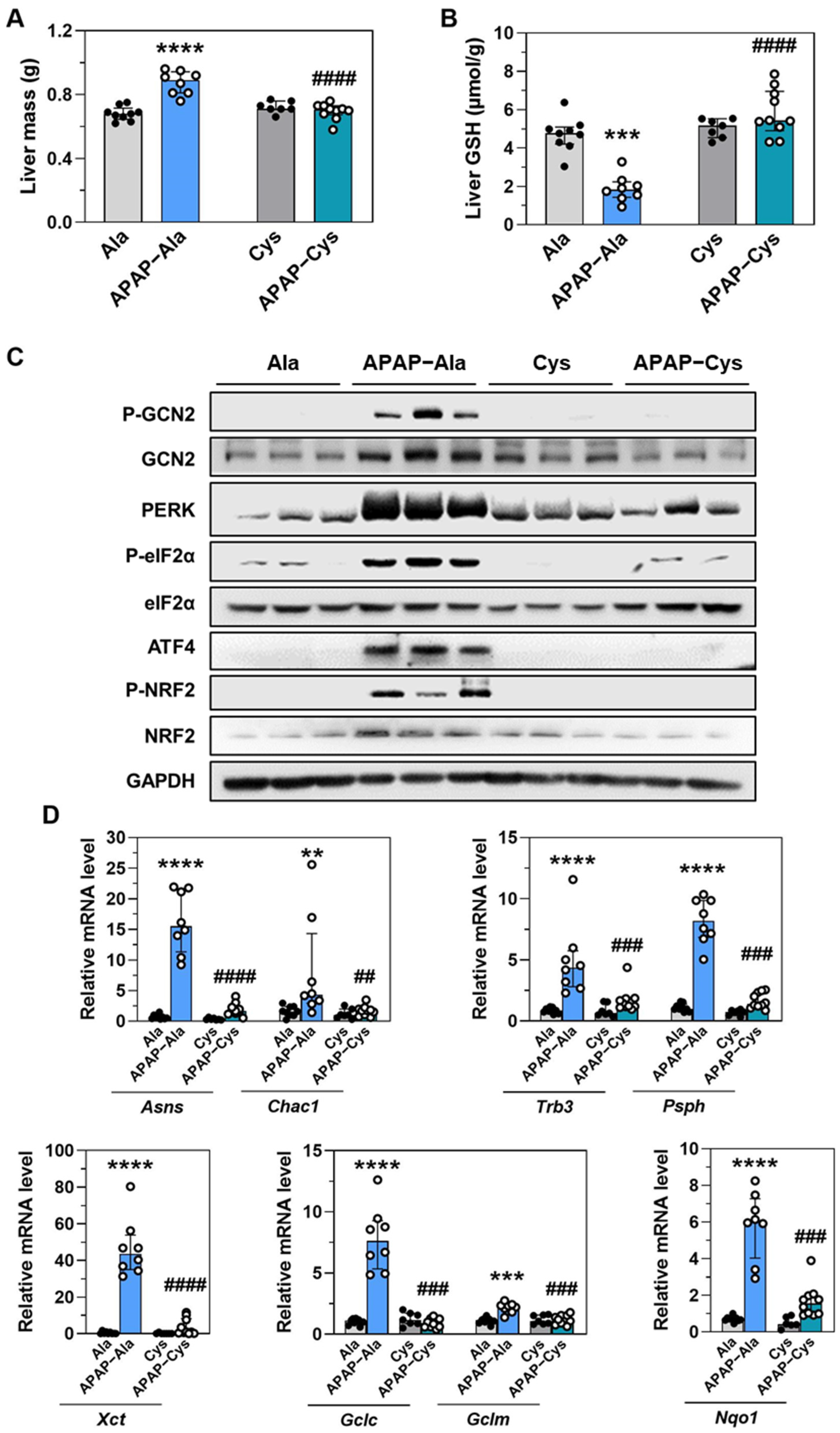 Ijms 23 07196 g007 550