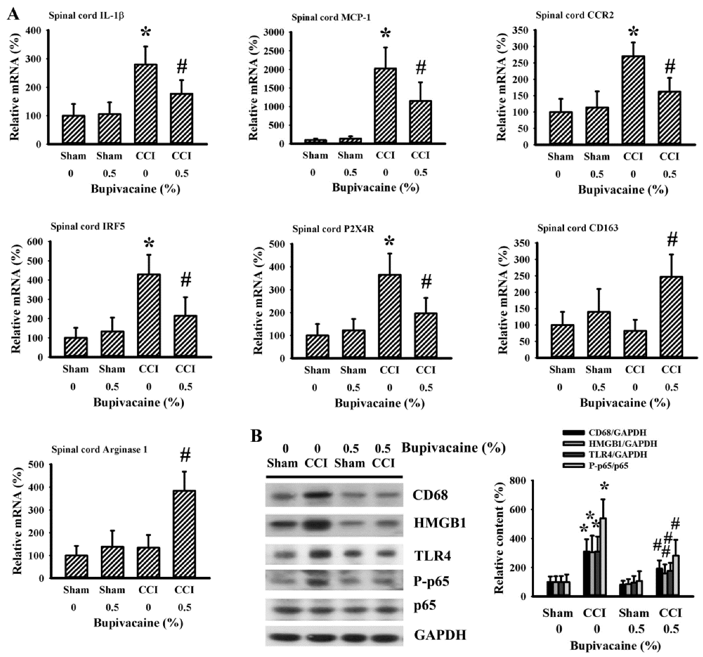 Ijms 23 07197 g003 550