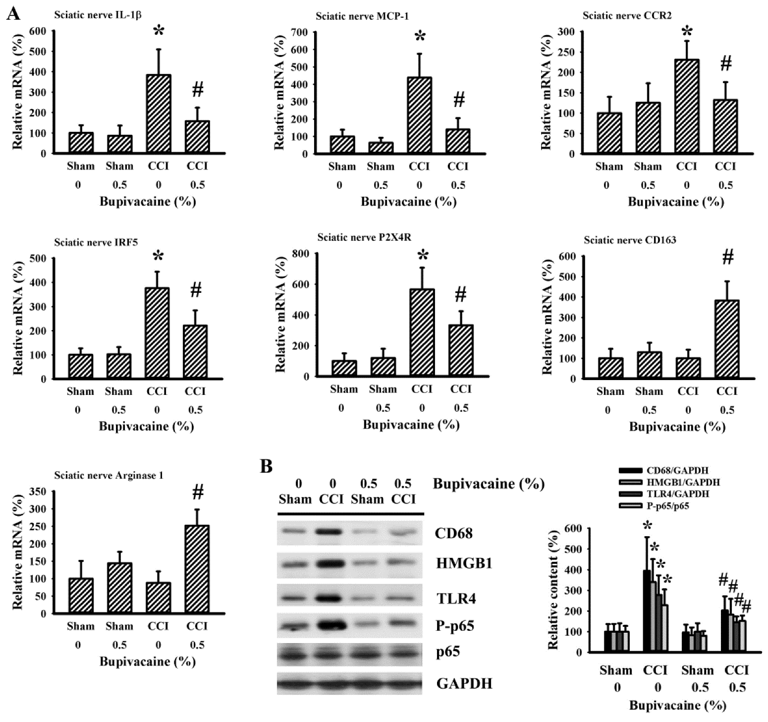 Ijms 23 07197 g004 550