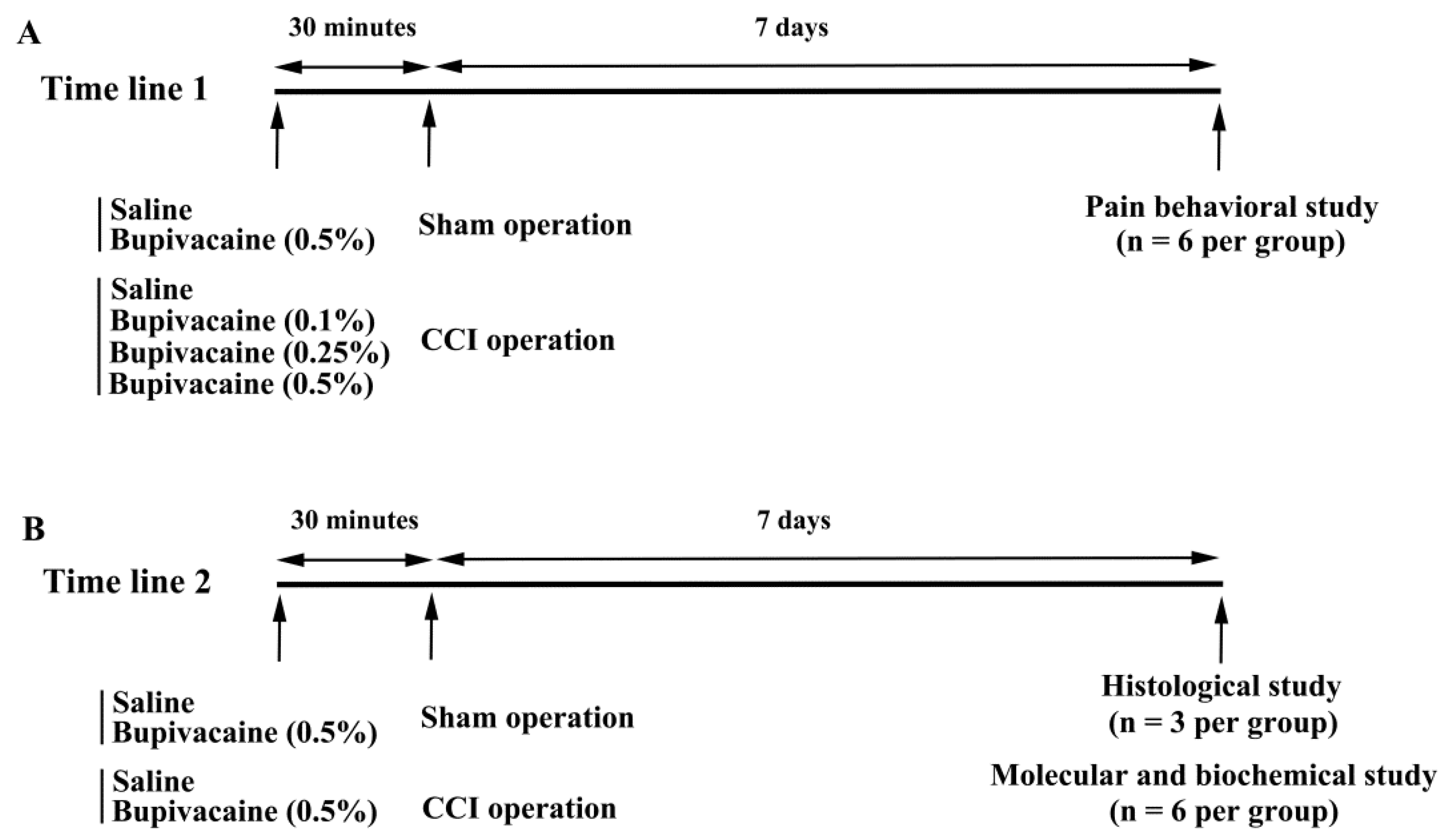 Ijms 23 07197 g005 550