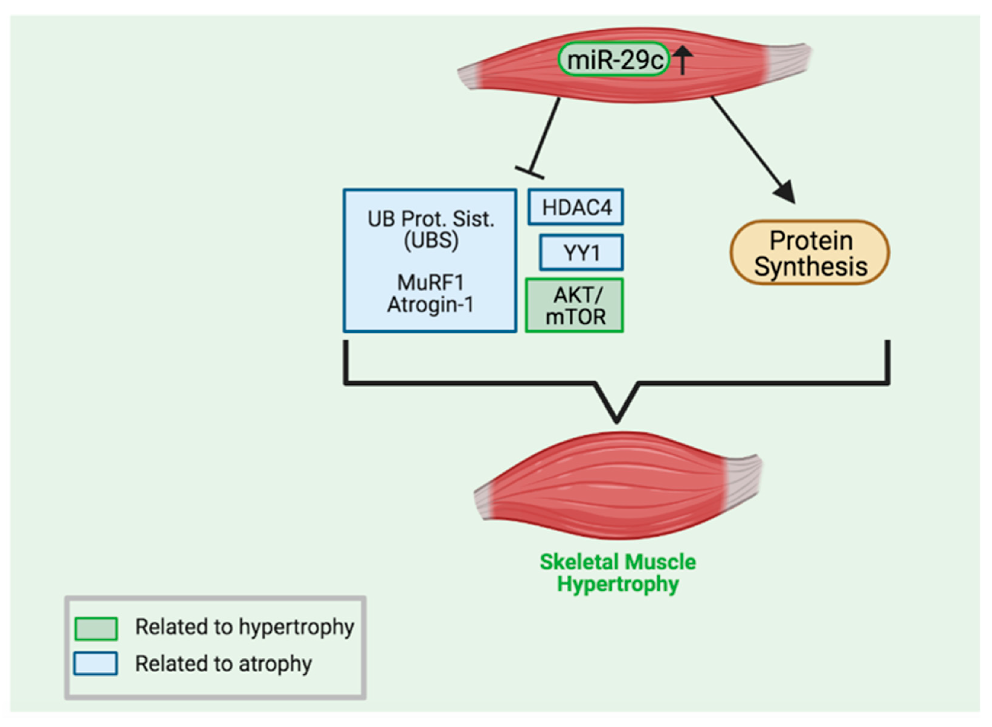 Ijms 23 07198 g006 550