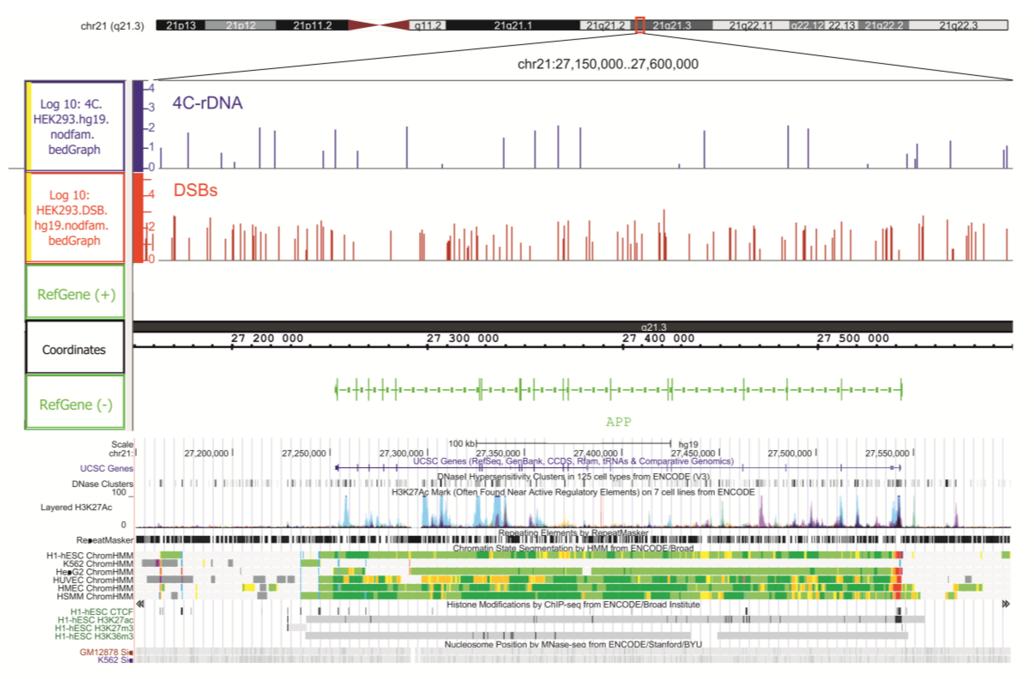 Ijms 23 07201 g003 Ijms 23 07201 g003