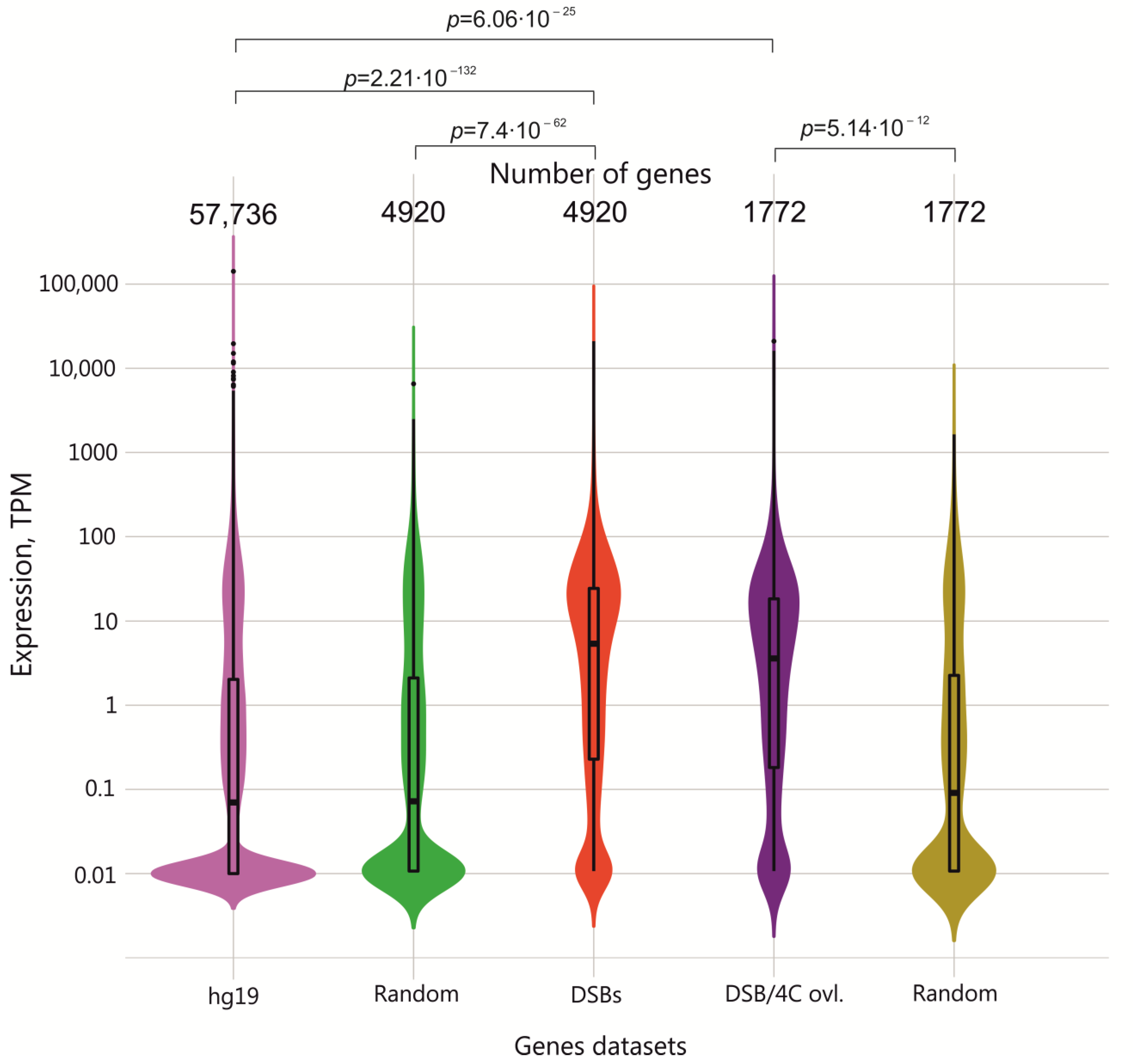 Ijms 23 07201 g004 Ijms 23 07201 g004