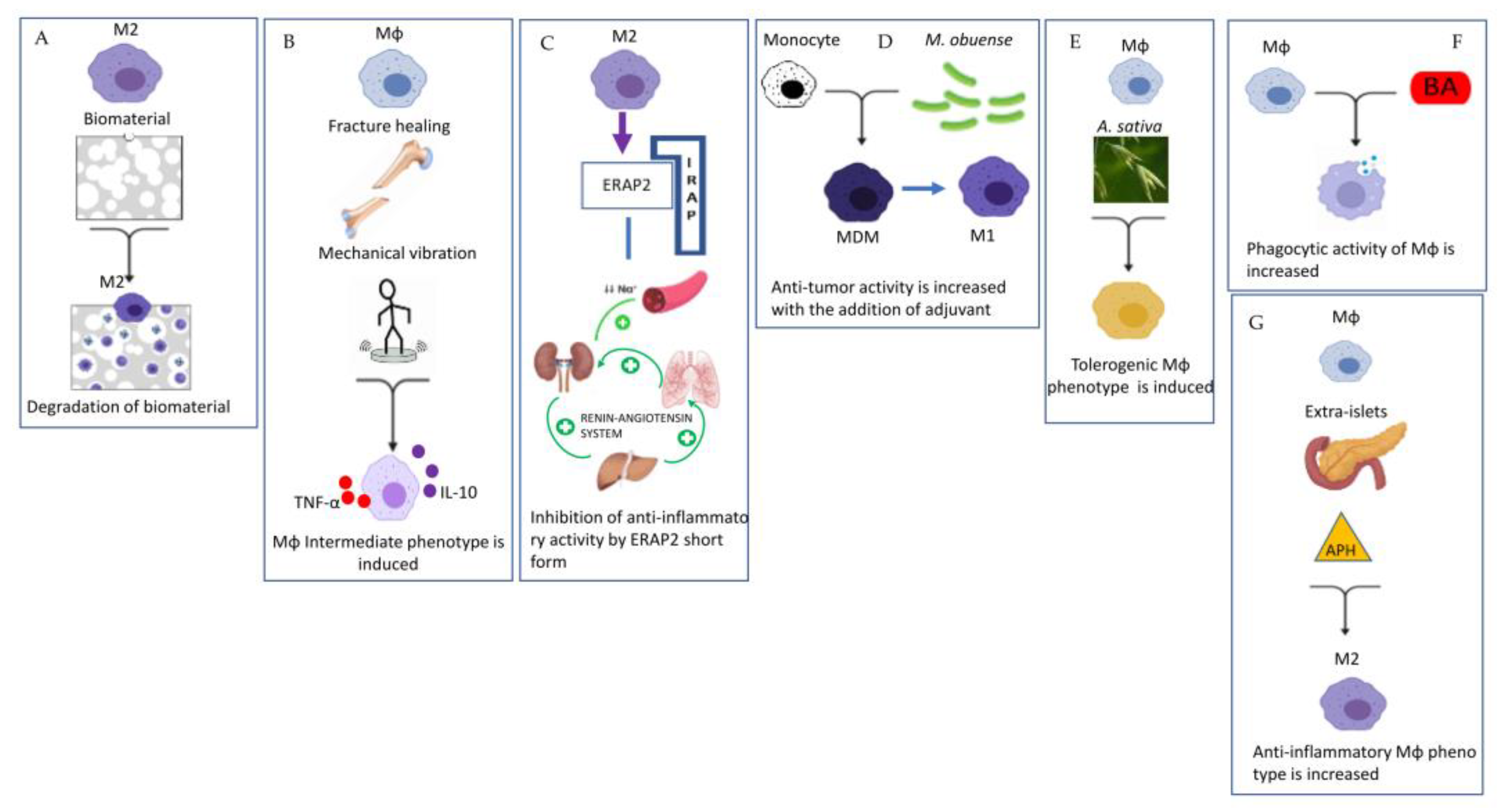 Ijms 23 07208 g002 550