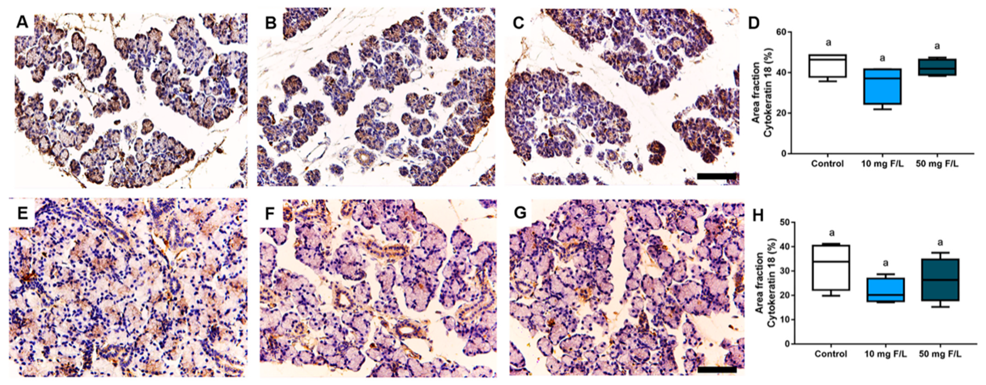 Ijms 23 07217 g004 550