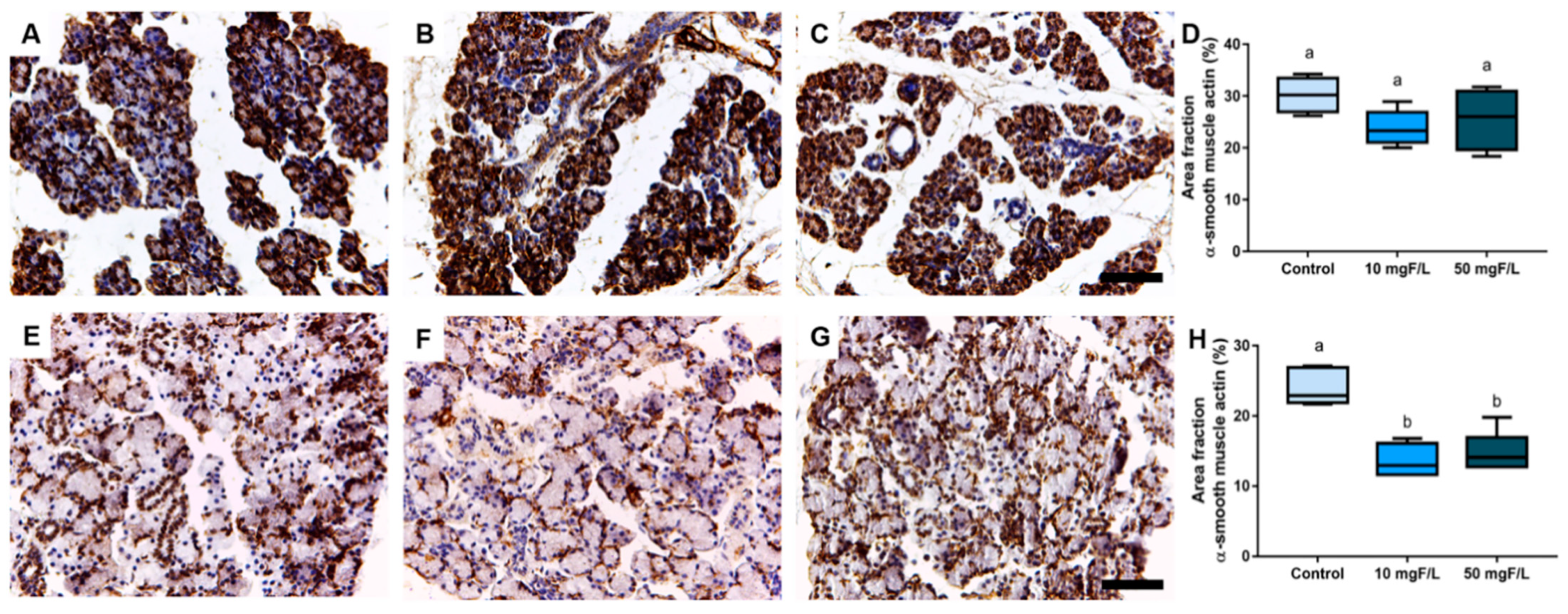 Ijms 23 07217 g005 550