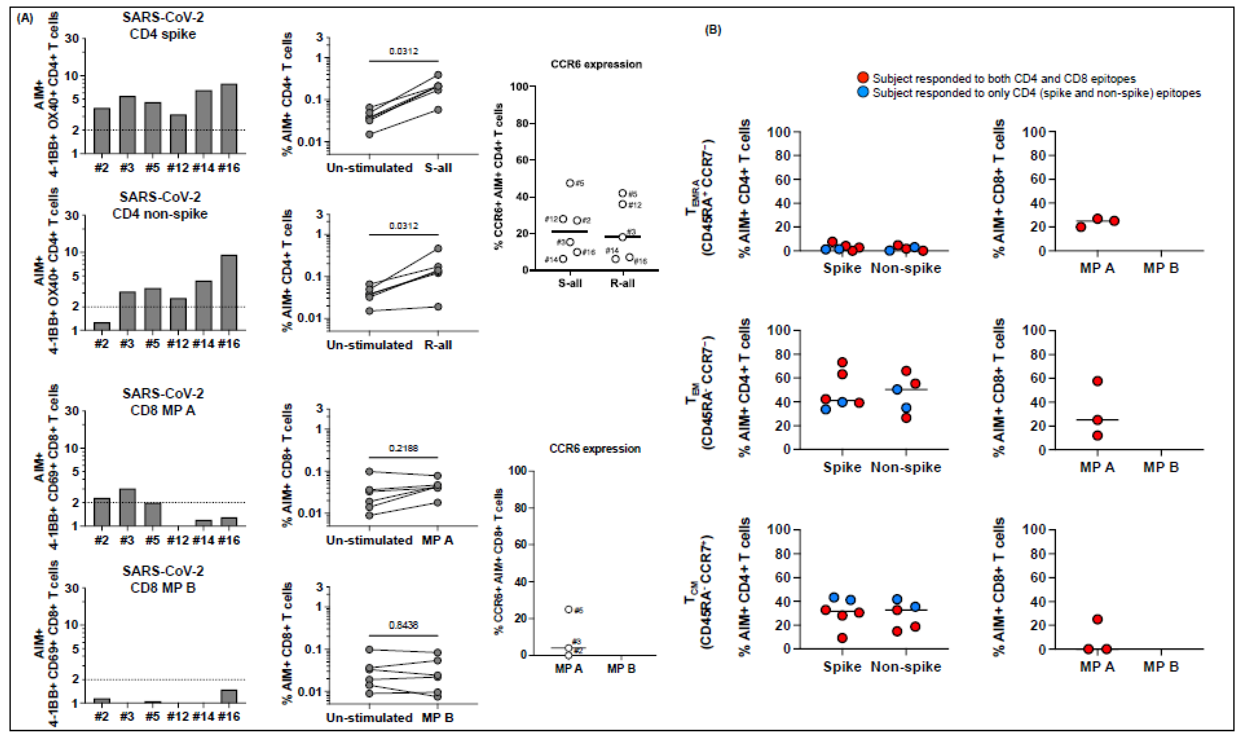 Ijms 23 07219 g006a 550