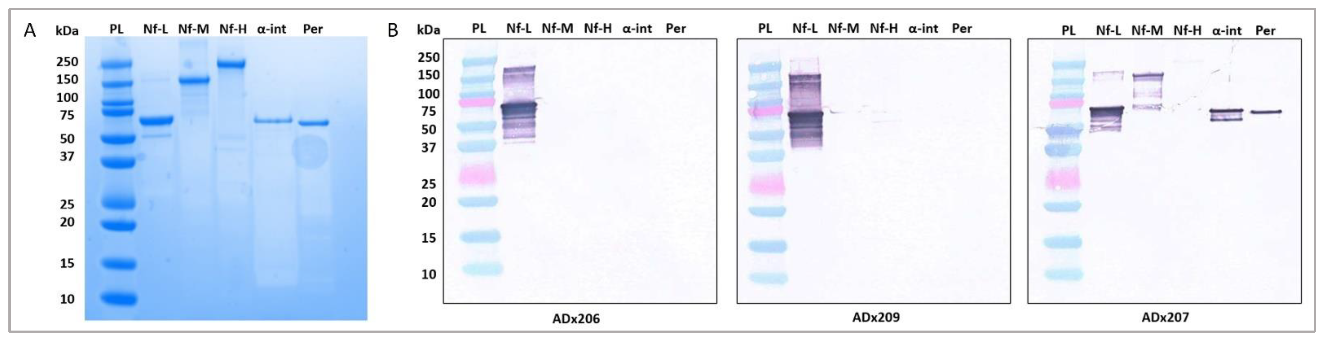 Ijms 23 07221 g001 550