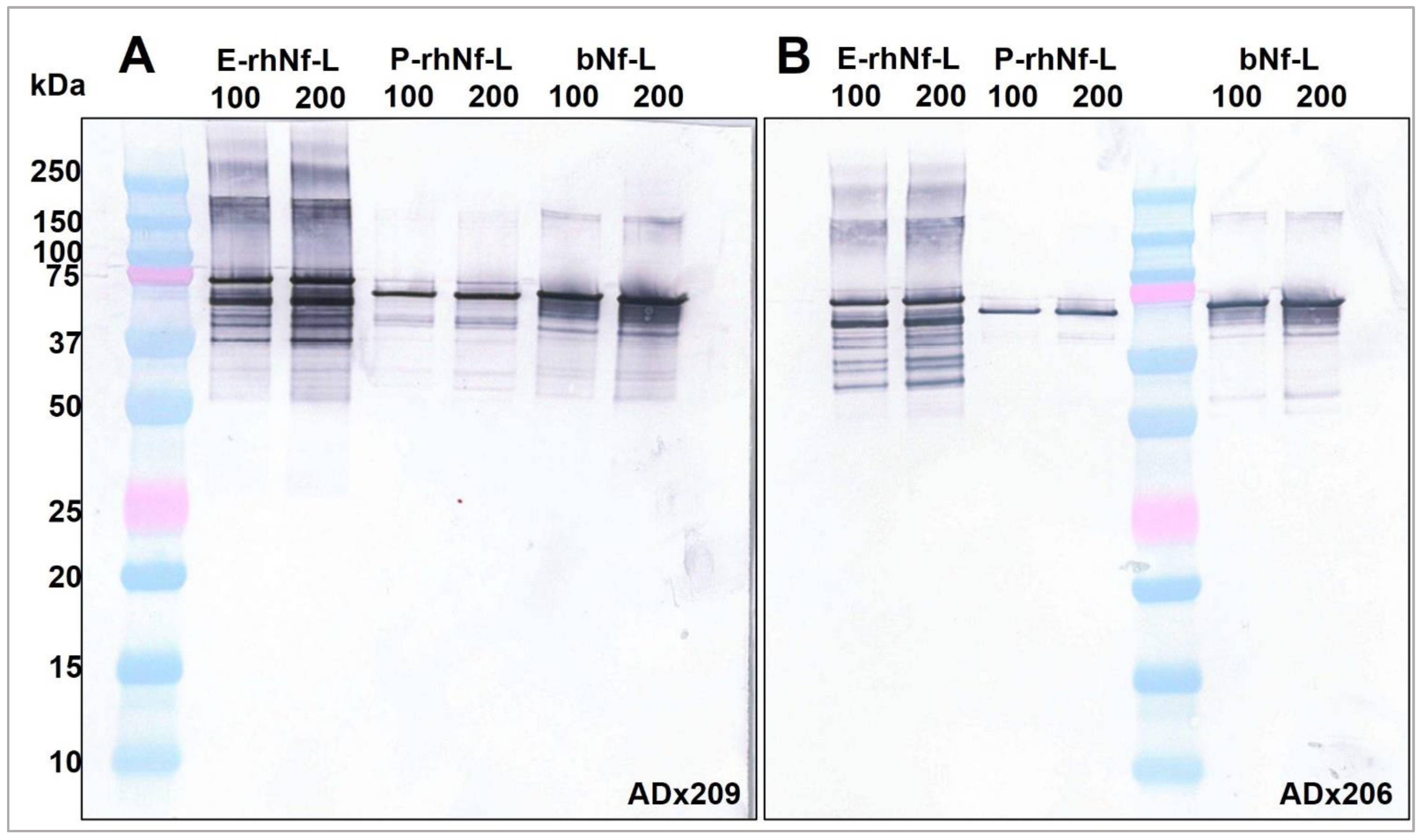 Ijms 23 07221 g008 550