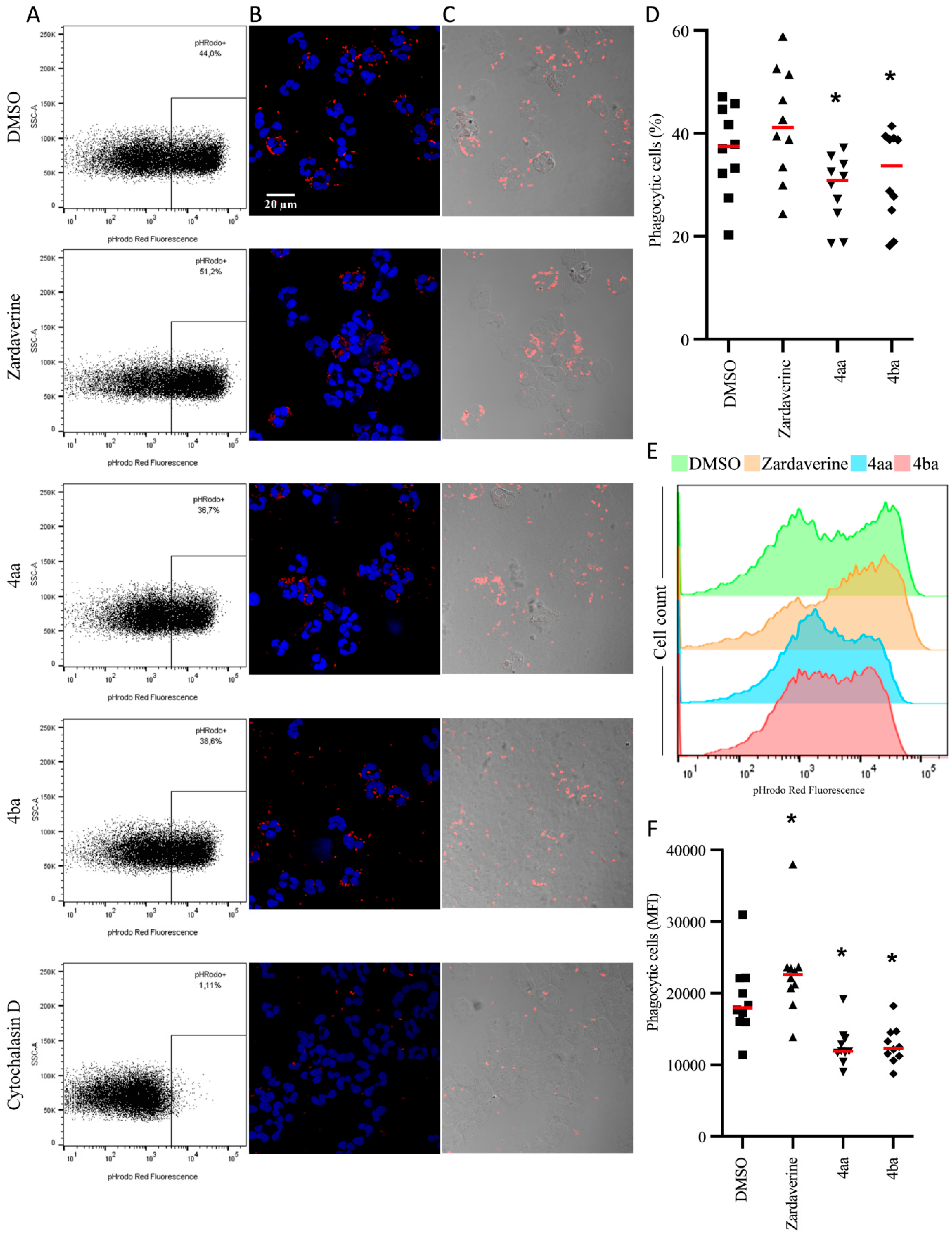 Ijms 23 07226 g003 550