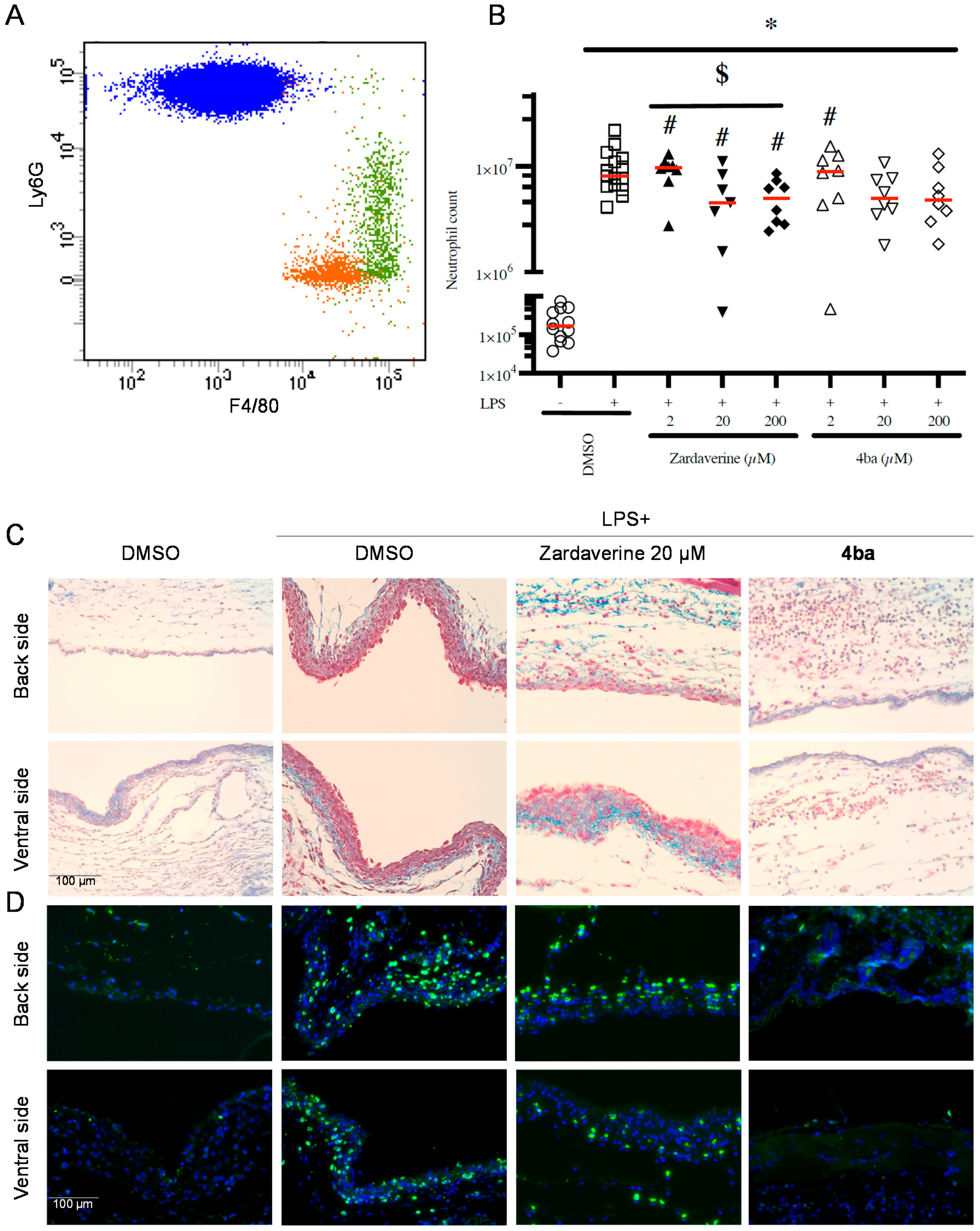 Ijms 23 07226 g006 550