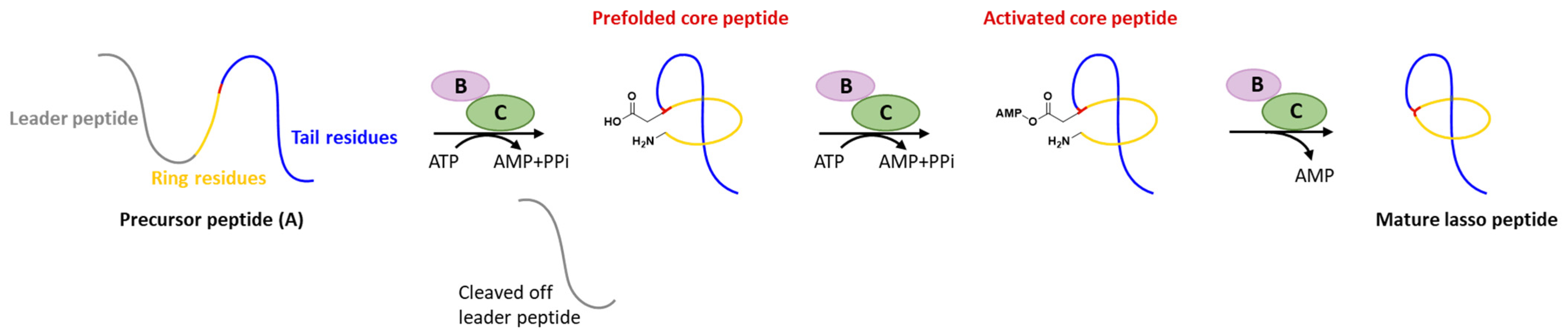 Ijms 23 07231 g001 Ijms 23 07231 g001