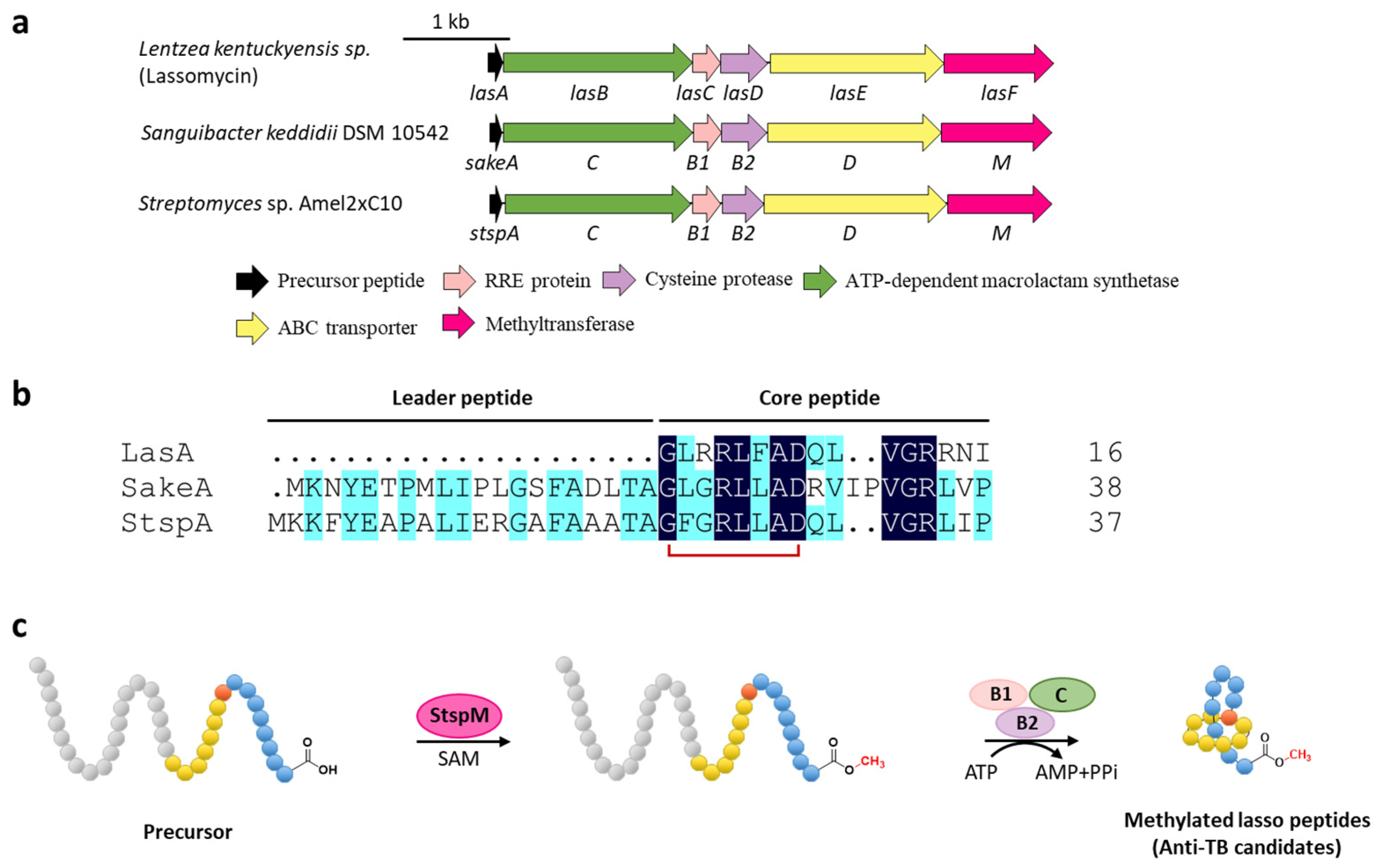 Ijms 23 07231 g004 Ijms 23 07231 g004