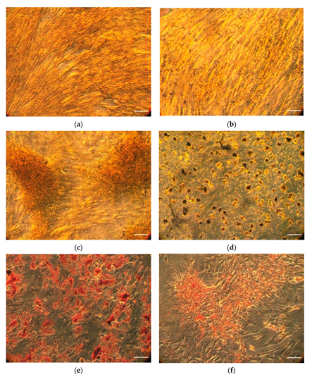 Ijms 23 07233 g001 550