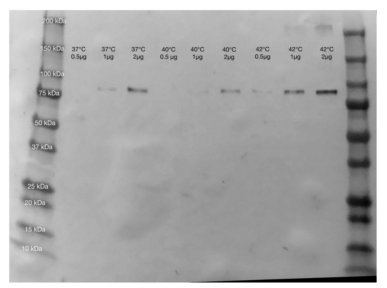 Ijms 23 07233 g002 550