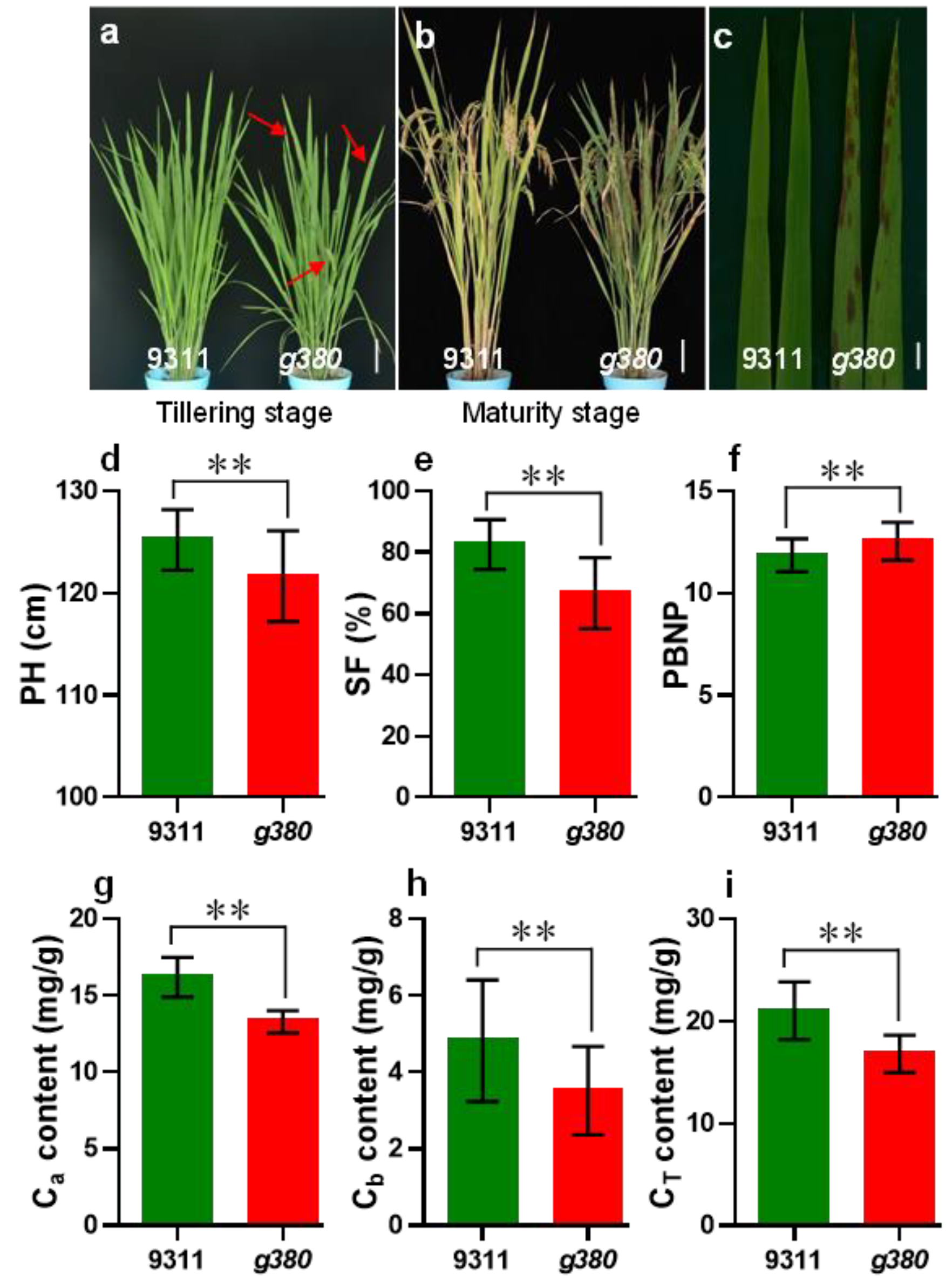 Ijms 23 07234 g001 Ijms 23 07234 g001