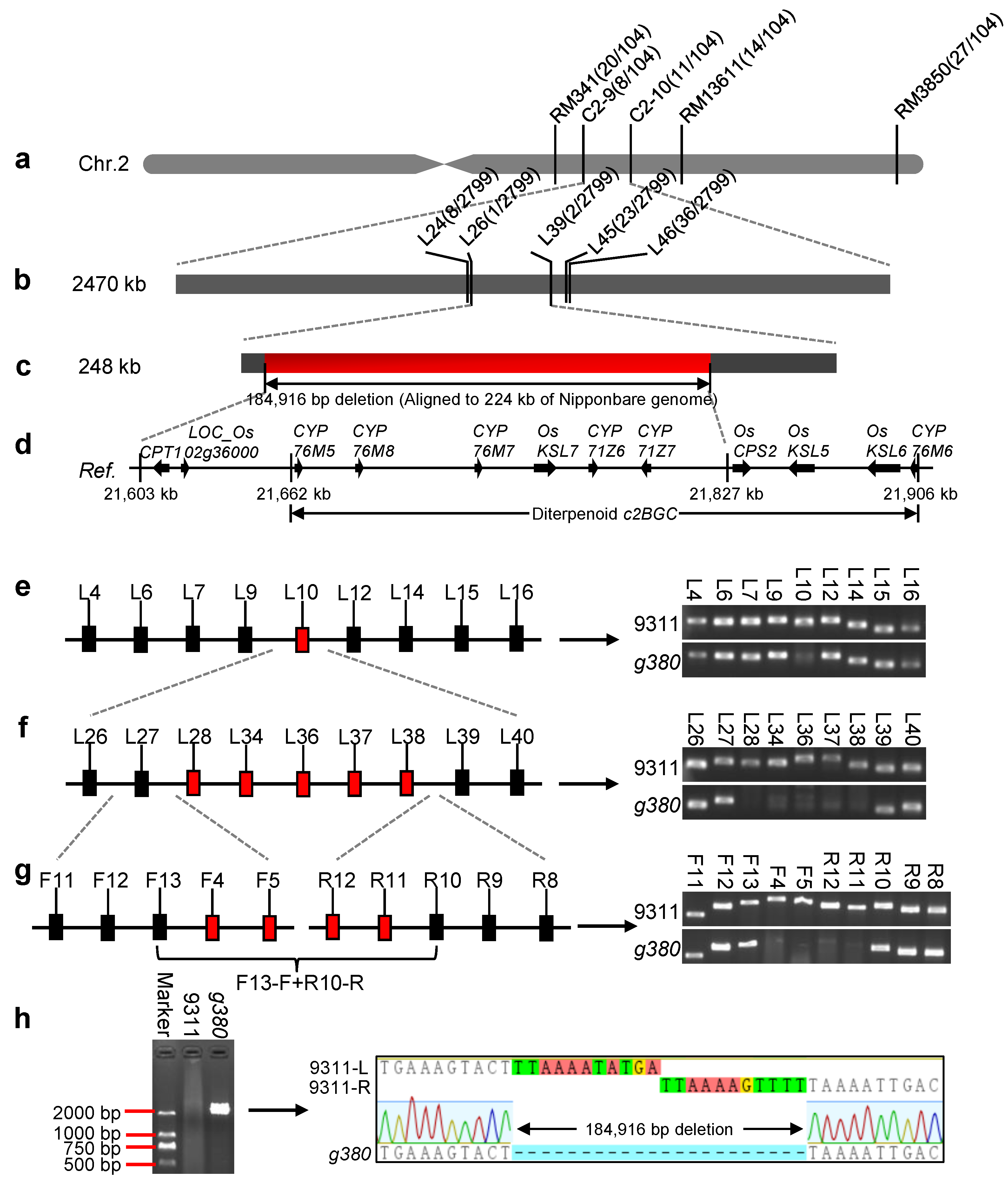 Ijms 23 07234 g002 Ijms 23 07234 g002