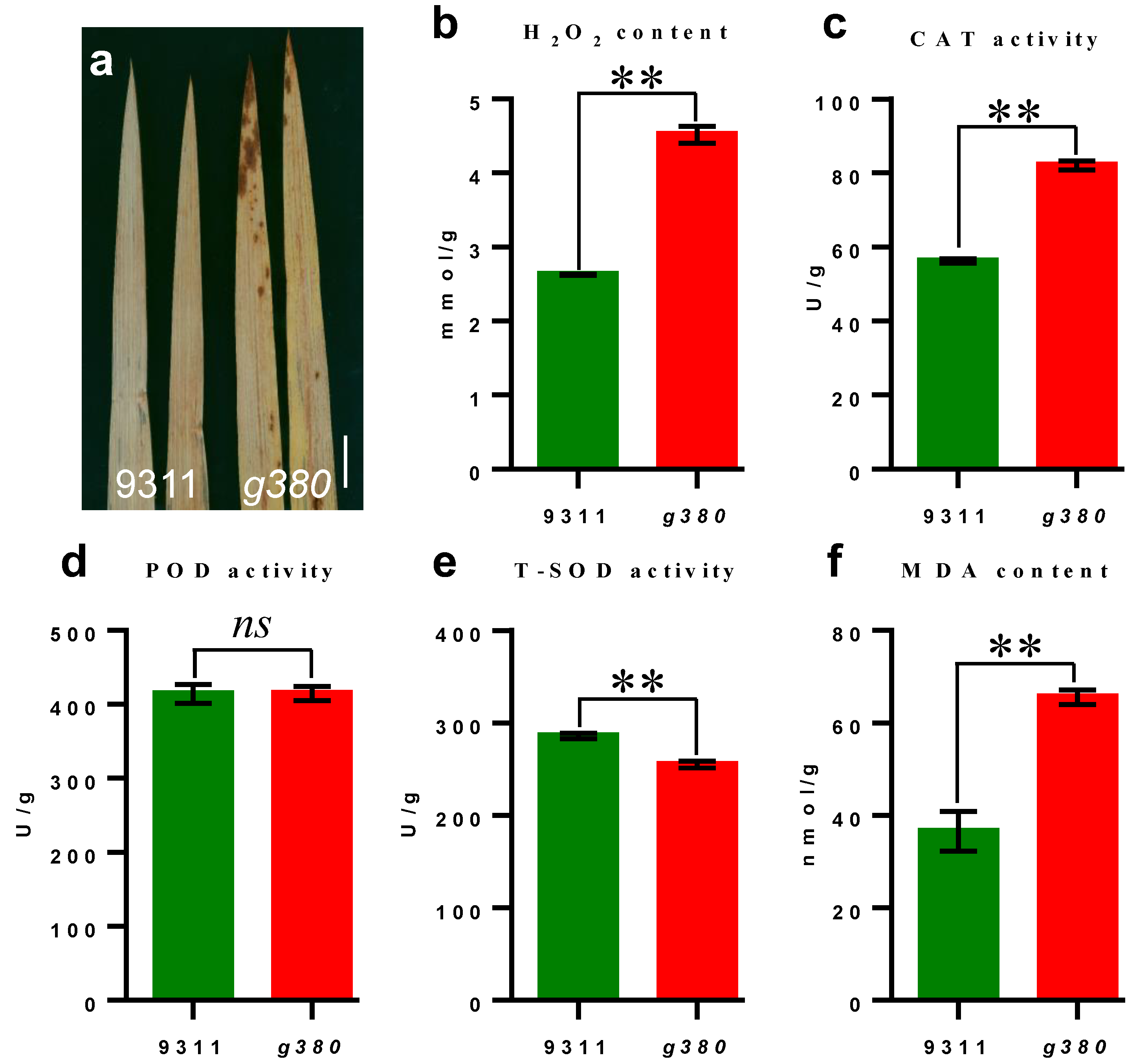 Ijms 23 07234 g003 Ijms 23 07234 g003