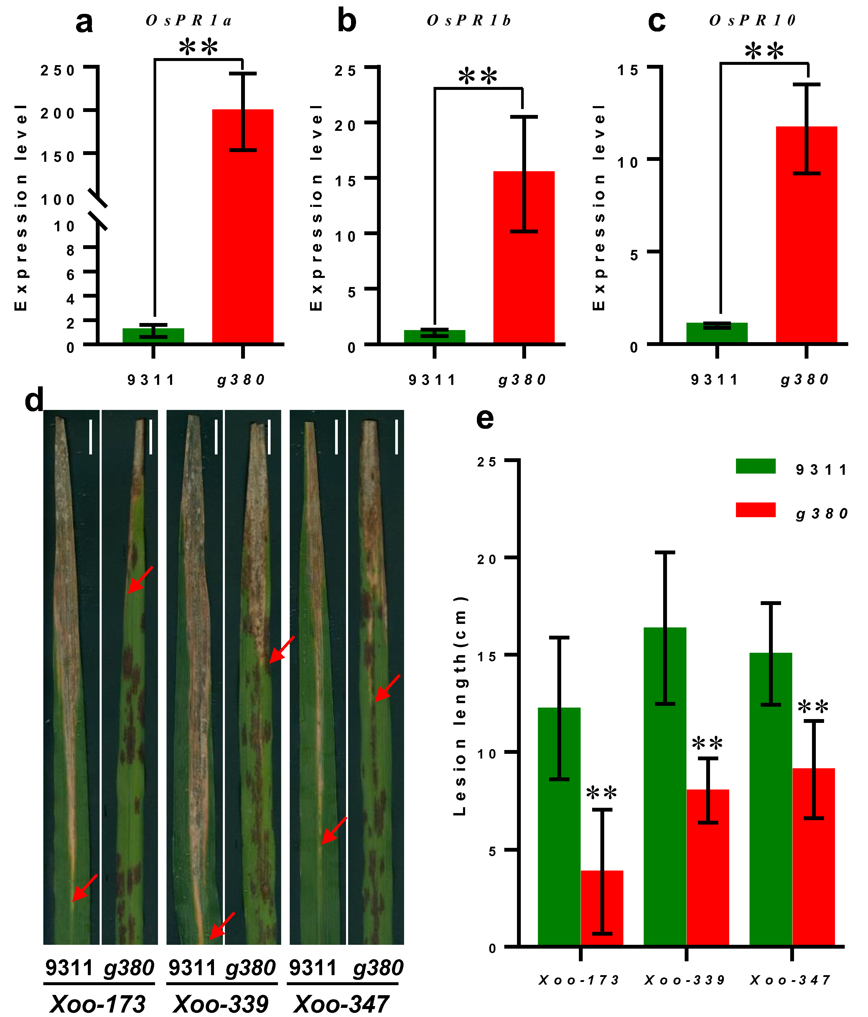 Ijms 23 07234 g004 Ijms 23 07234 g004