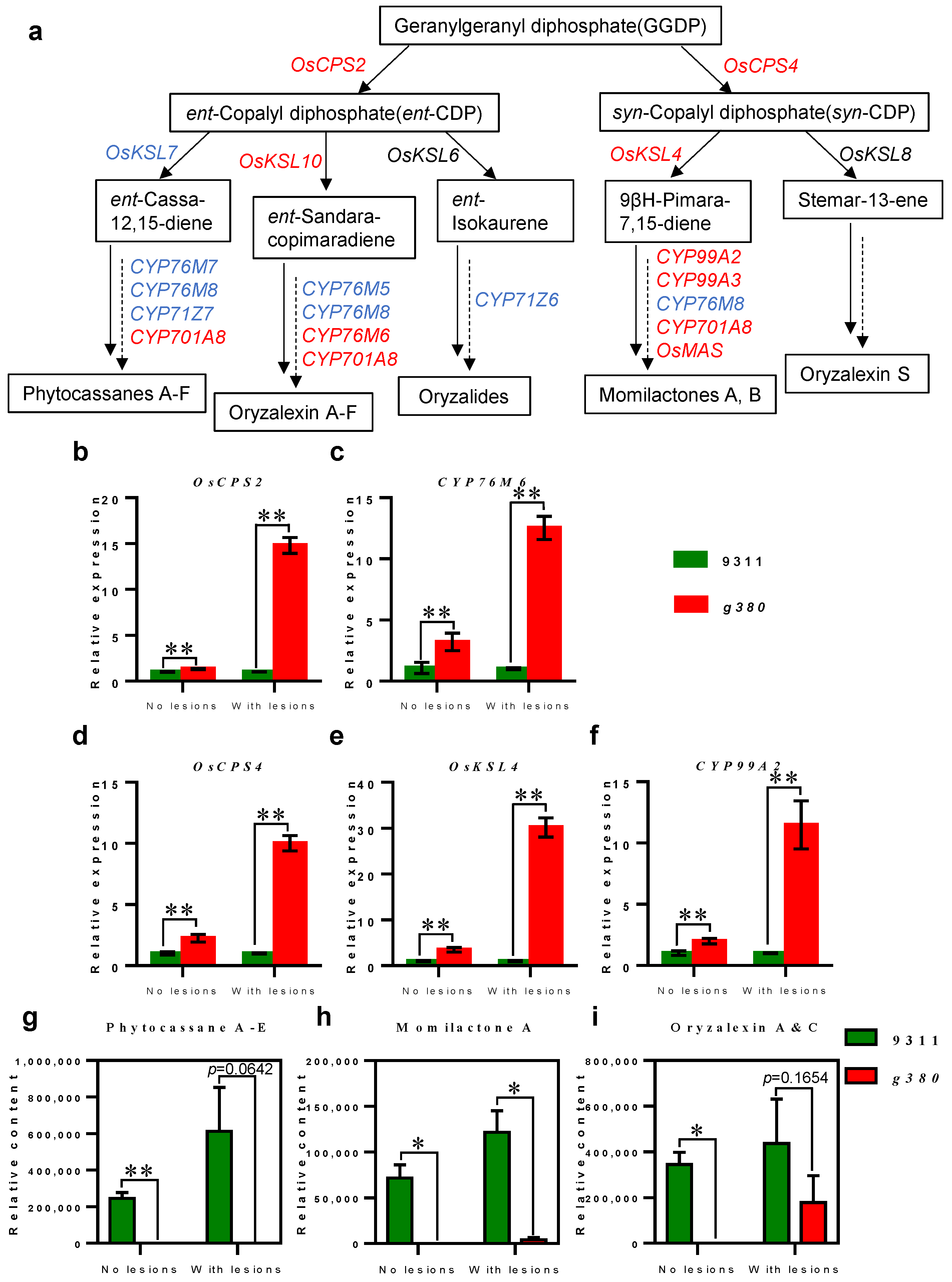 Ijms 23 07234 g006 Ijms 23 07234 g006