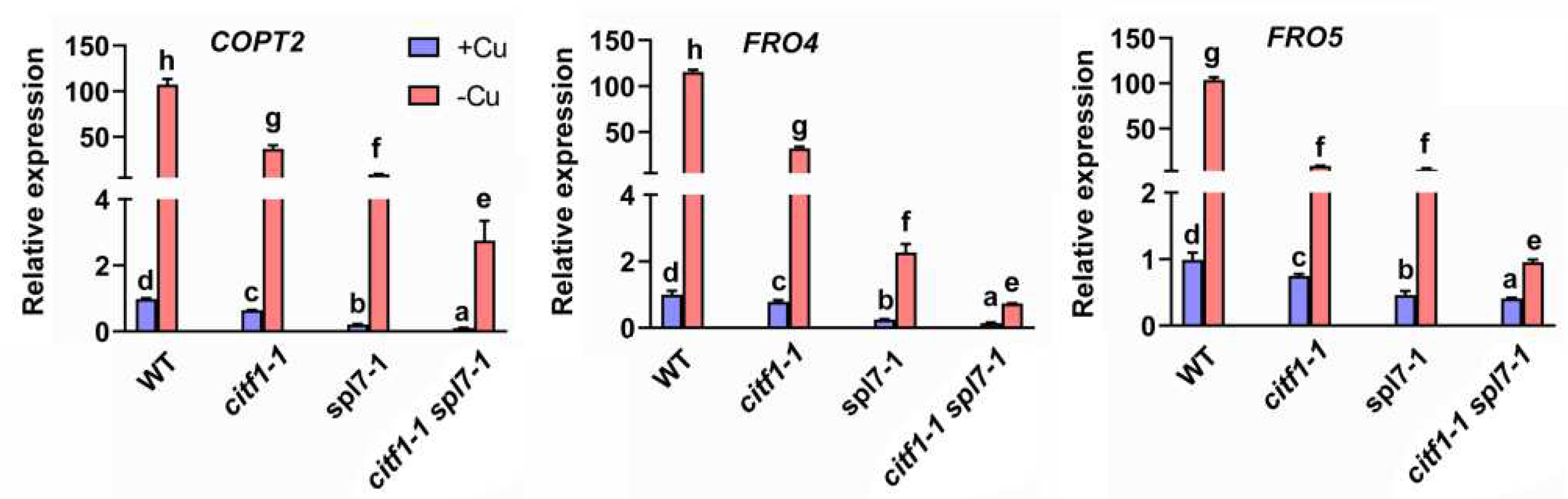 Ijms 23 07239 g004 550