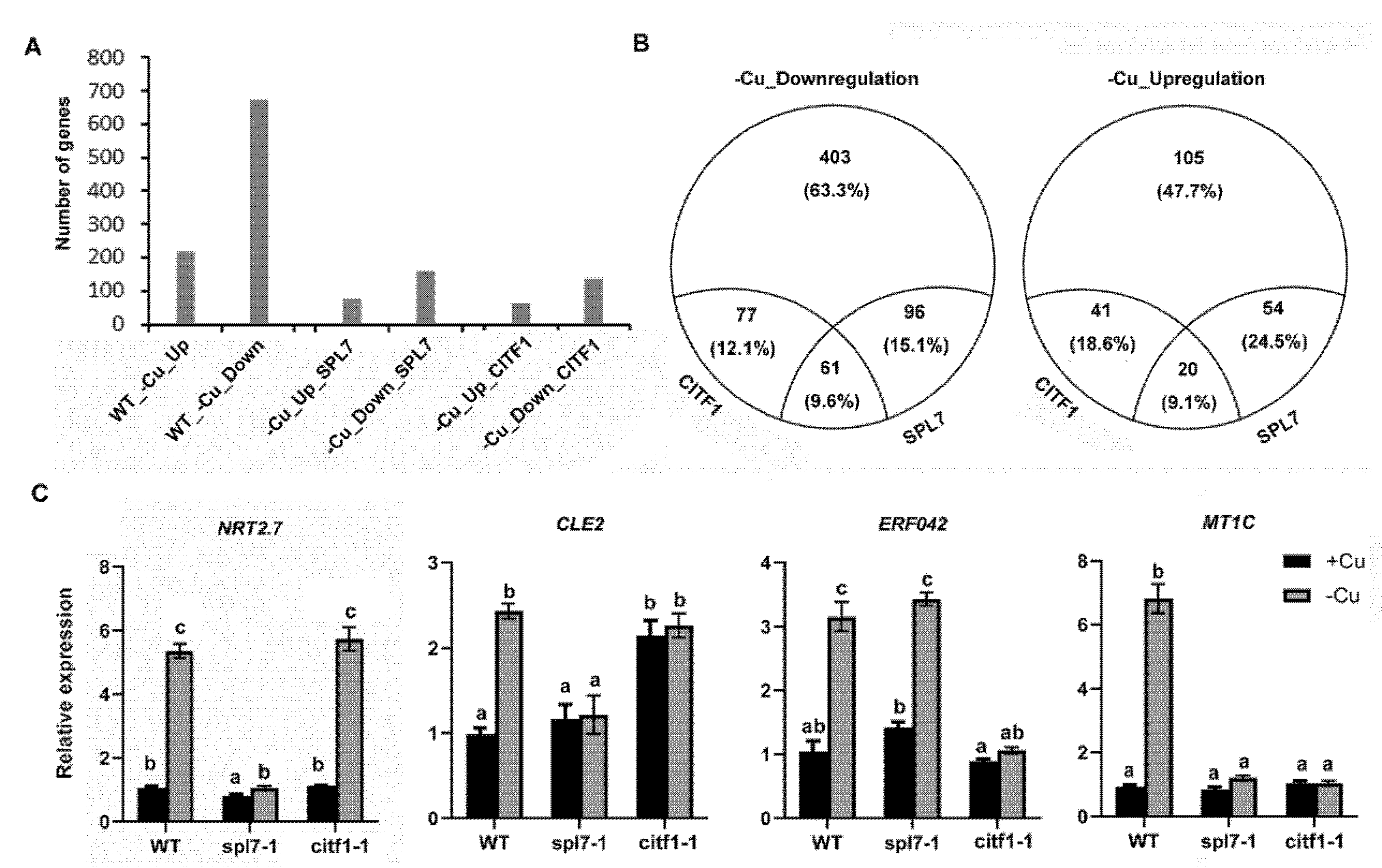Ijms 23 07239 g005 550