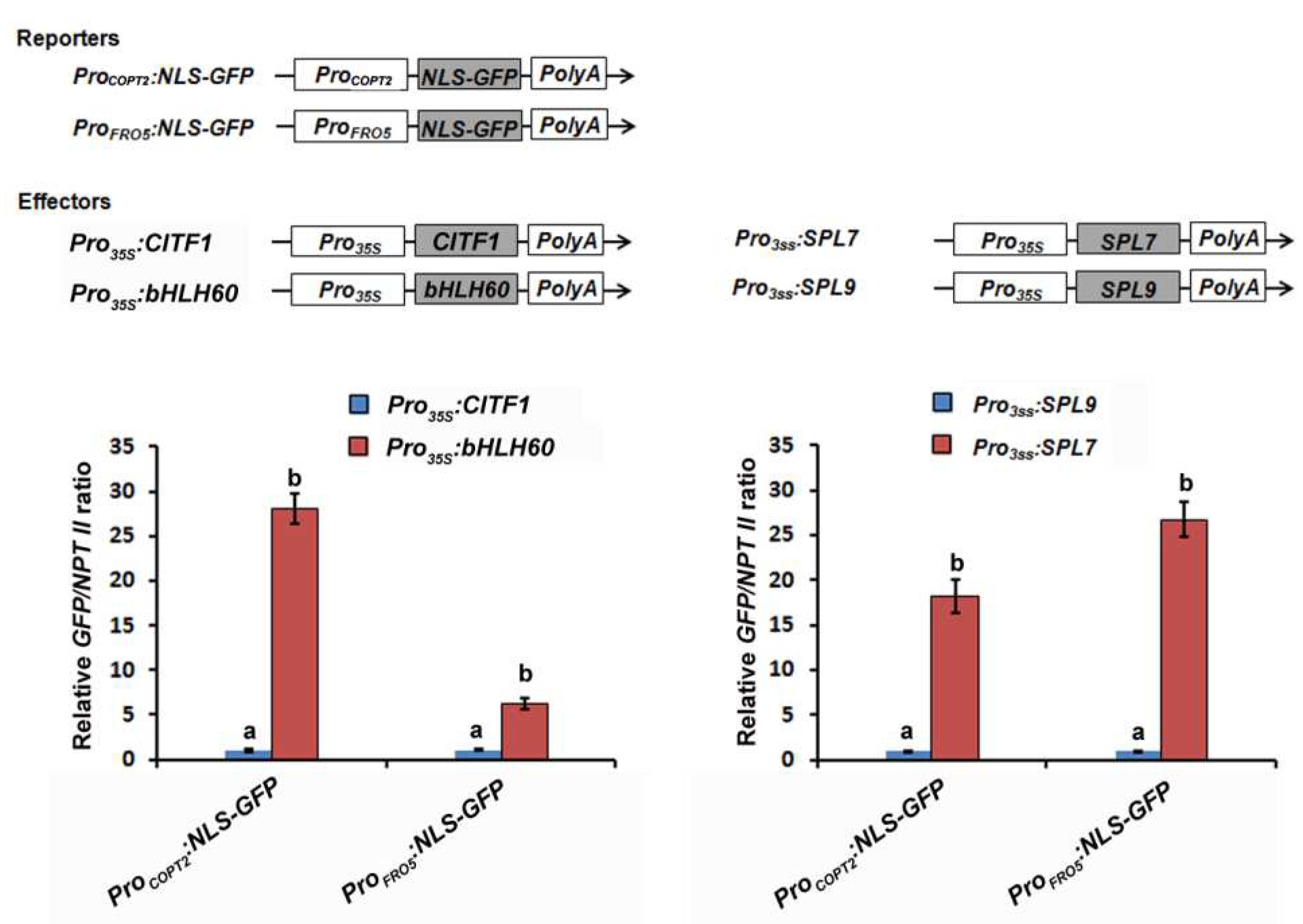 Ijms 23 07239 g007 550