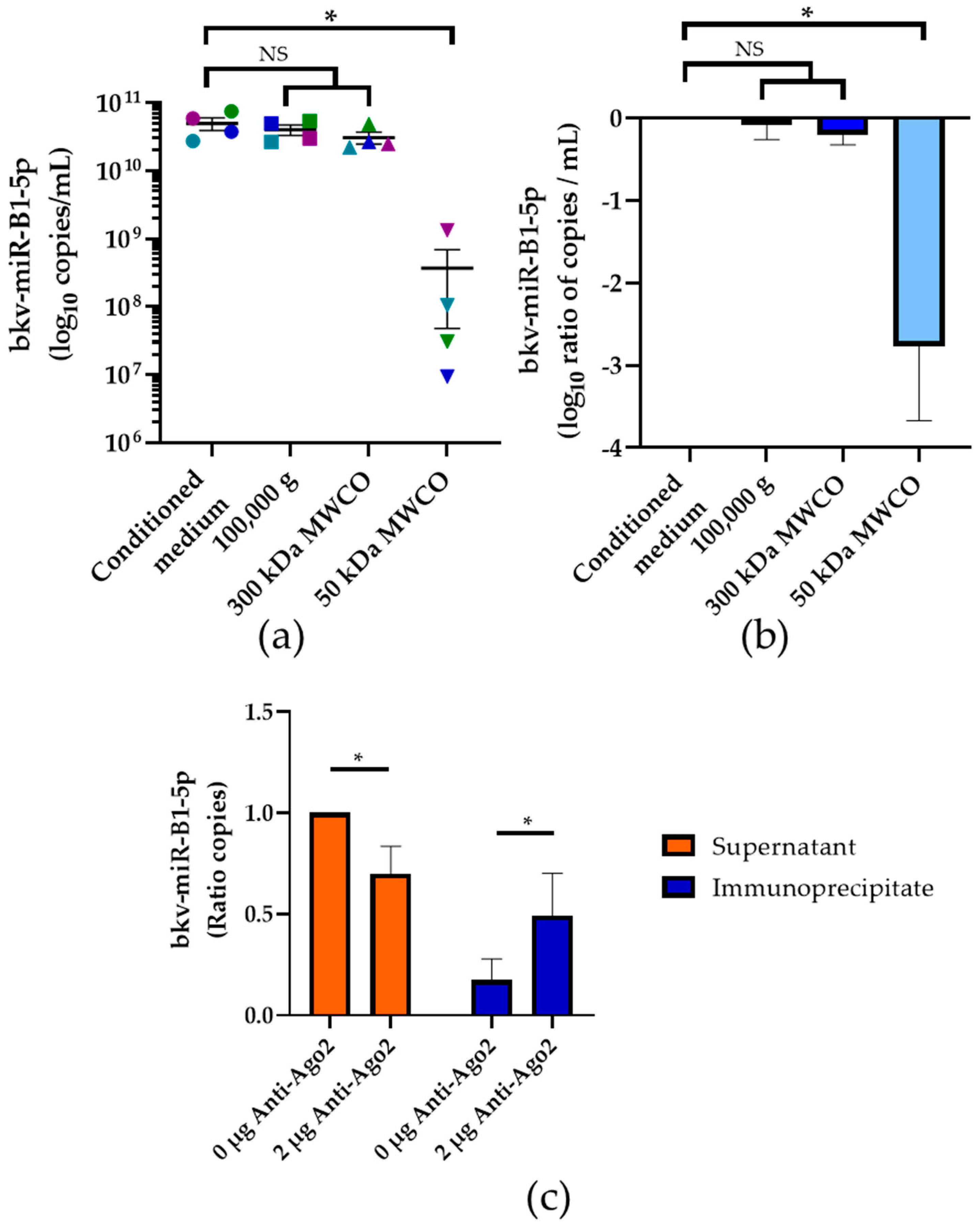 Ijms 23 07240 g004 550