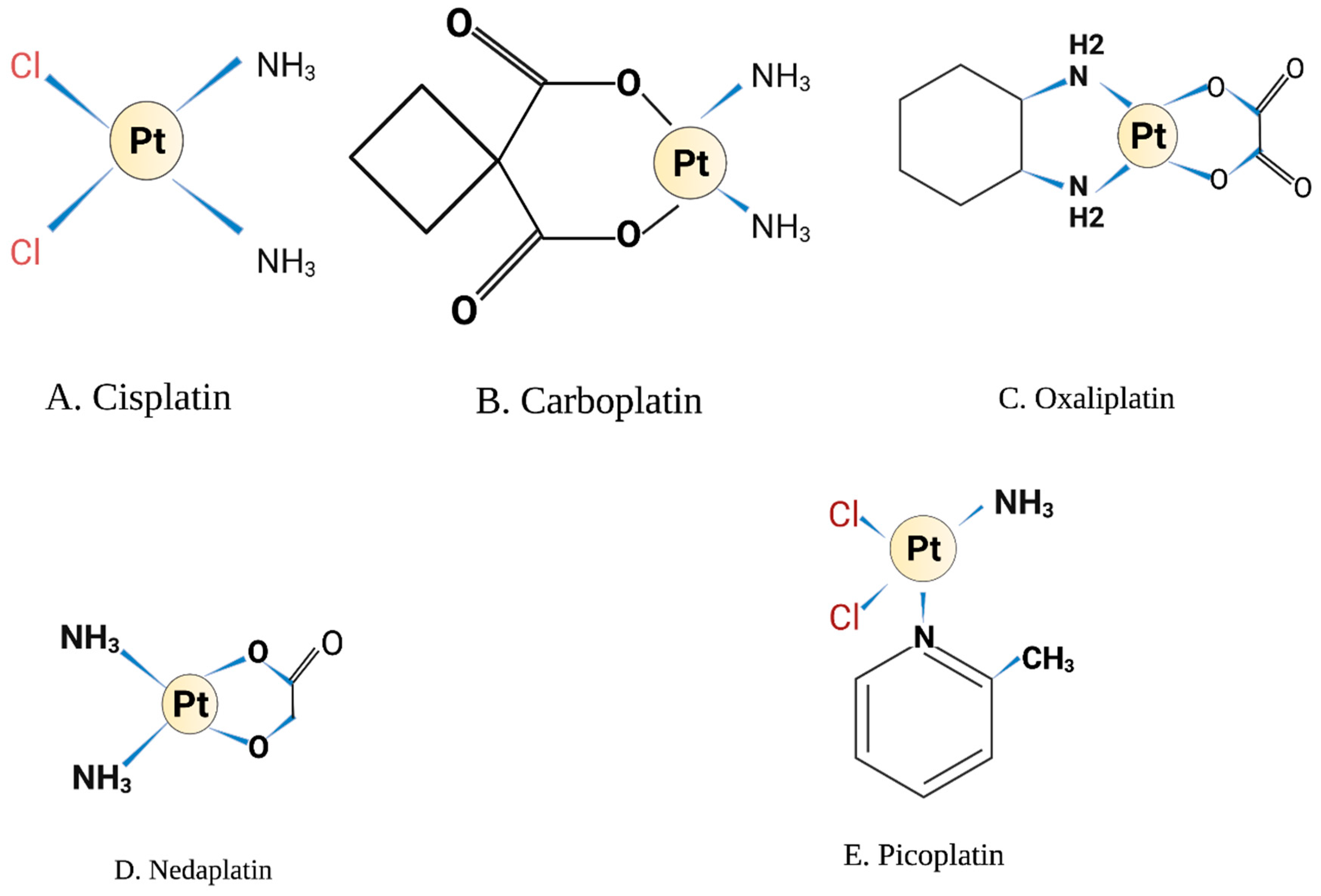 Ijms 23 07241 g001 Ijms 23 07241 g001