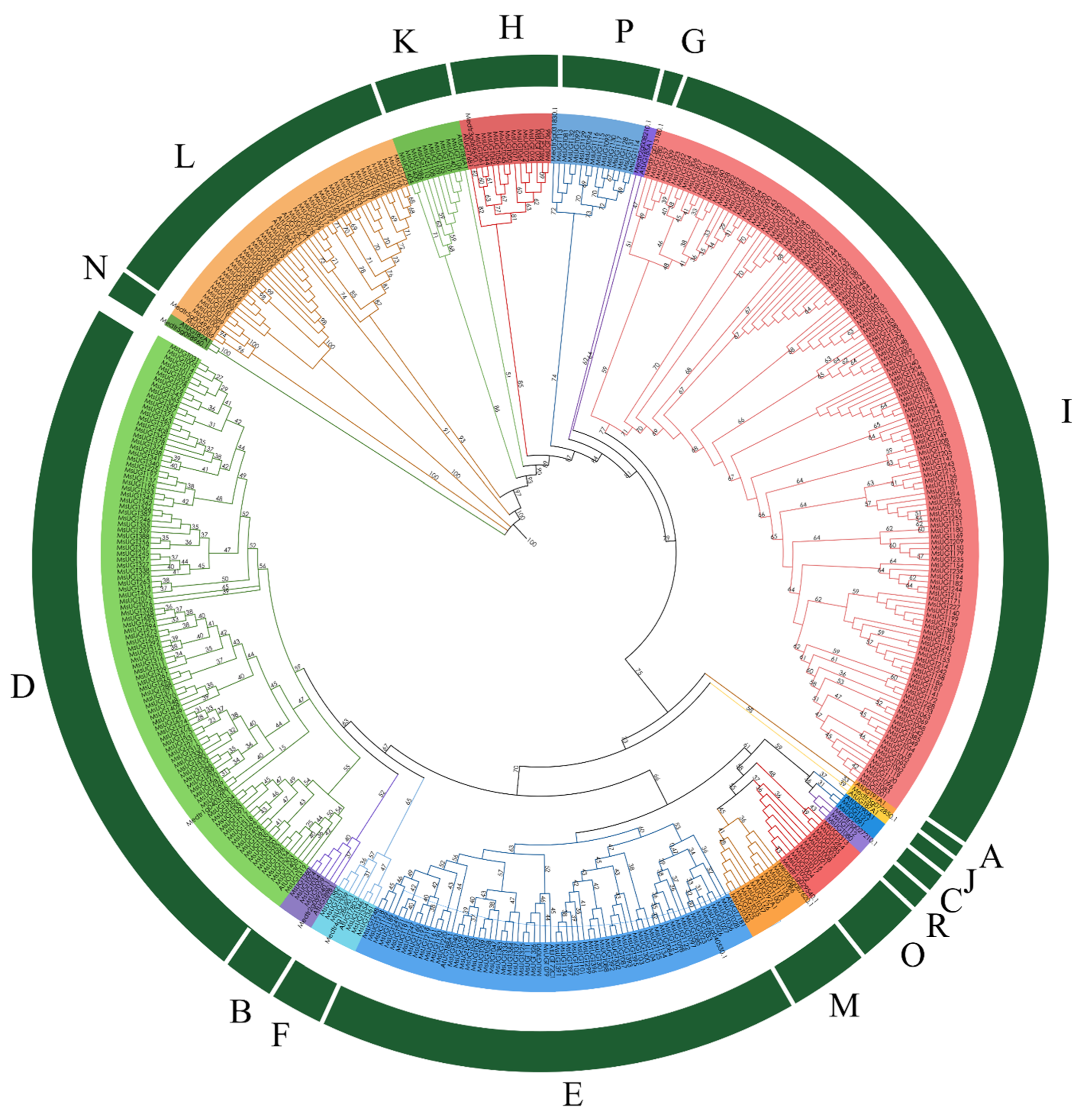 Ijms 23 07243 g001 550