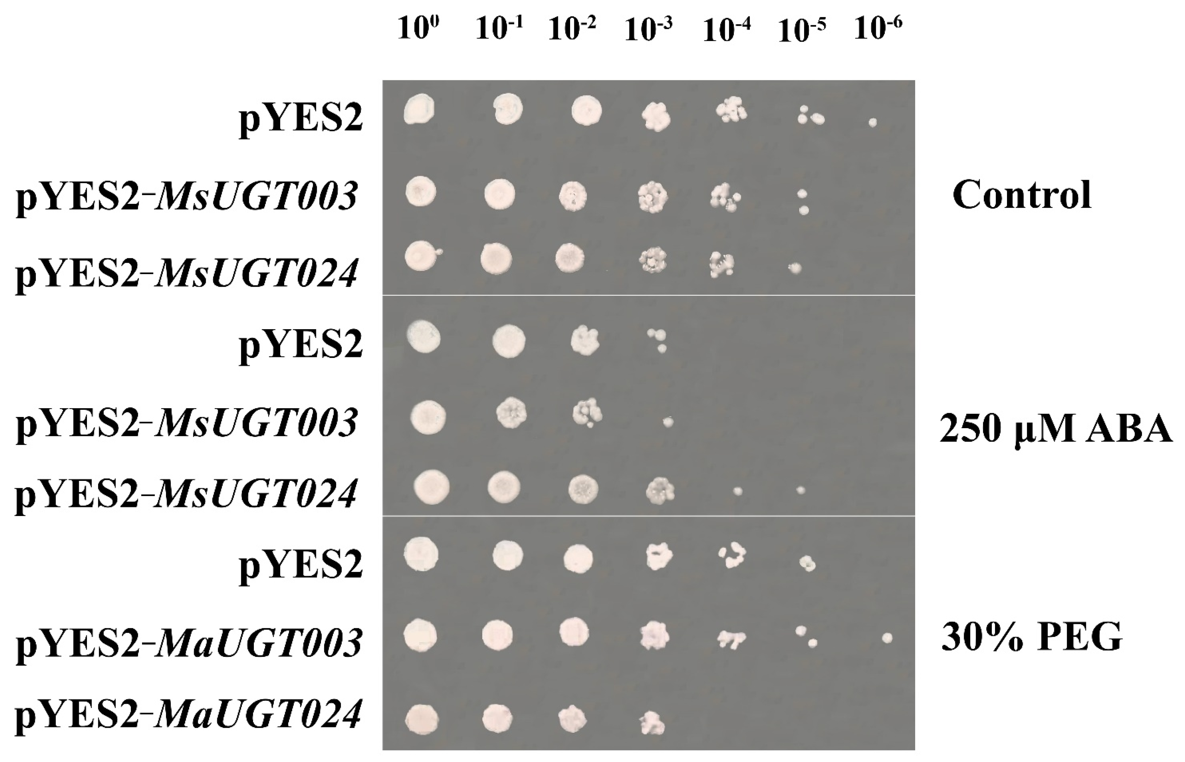 Ijms 23 07243 g007 550