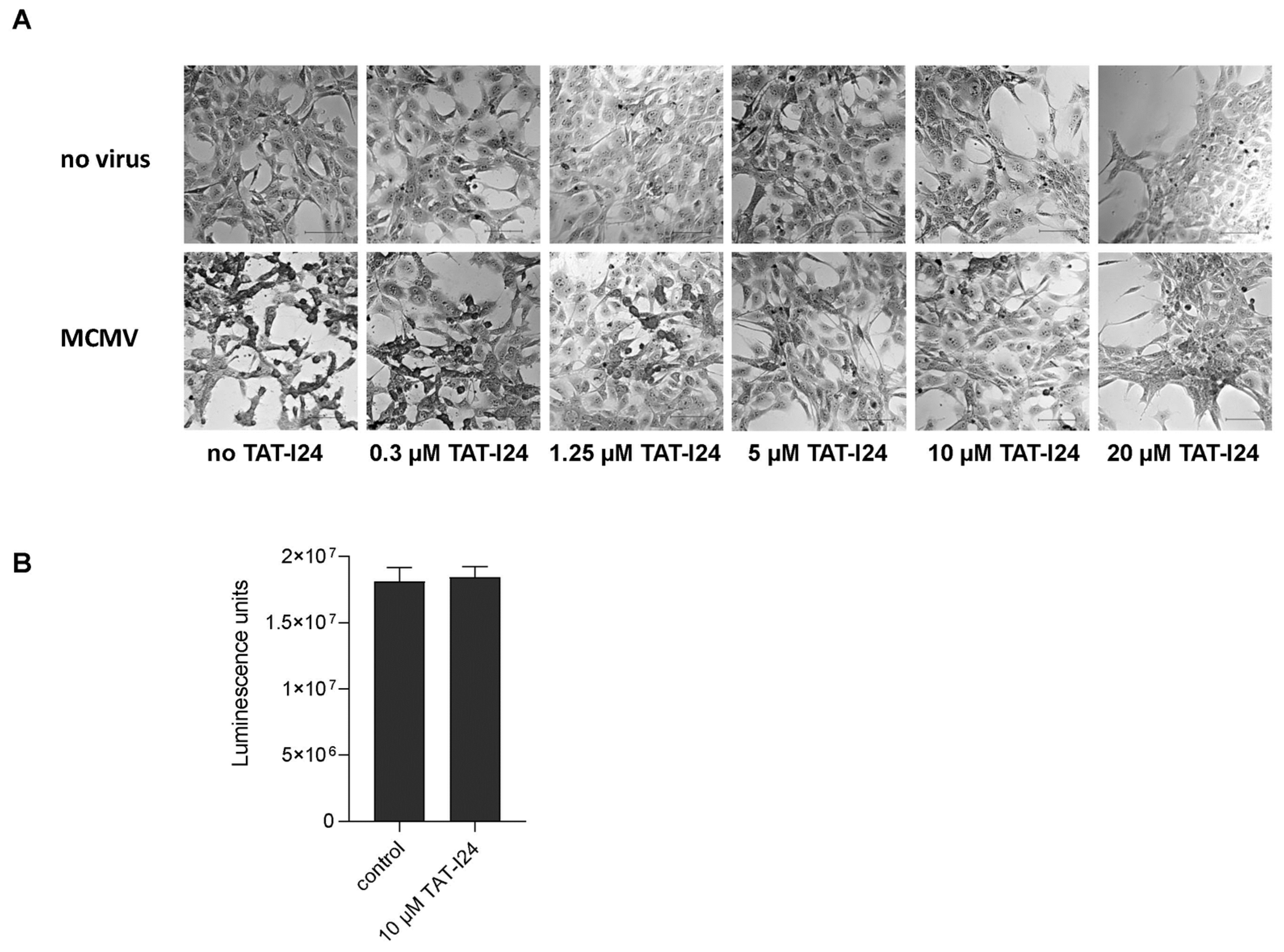 Ijms 23 07246 g001 550