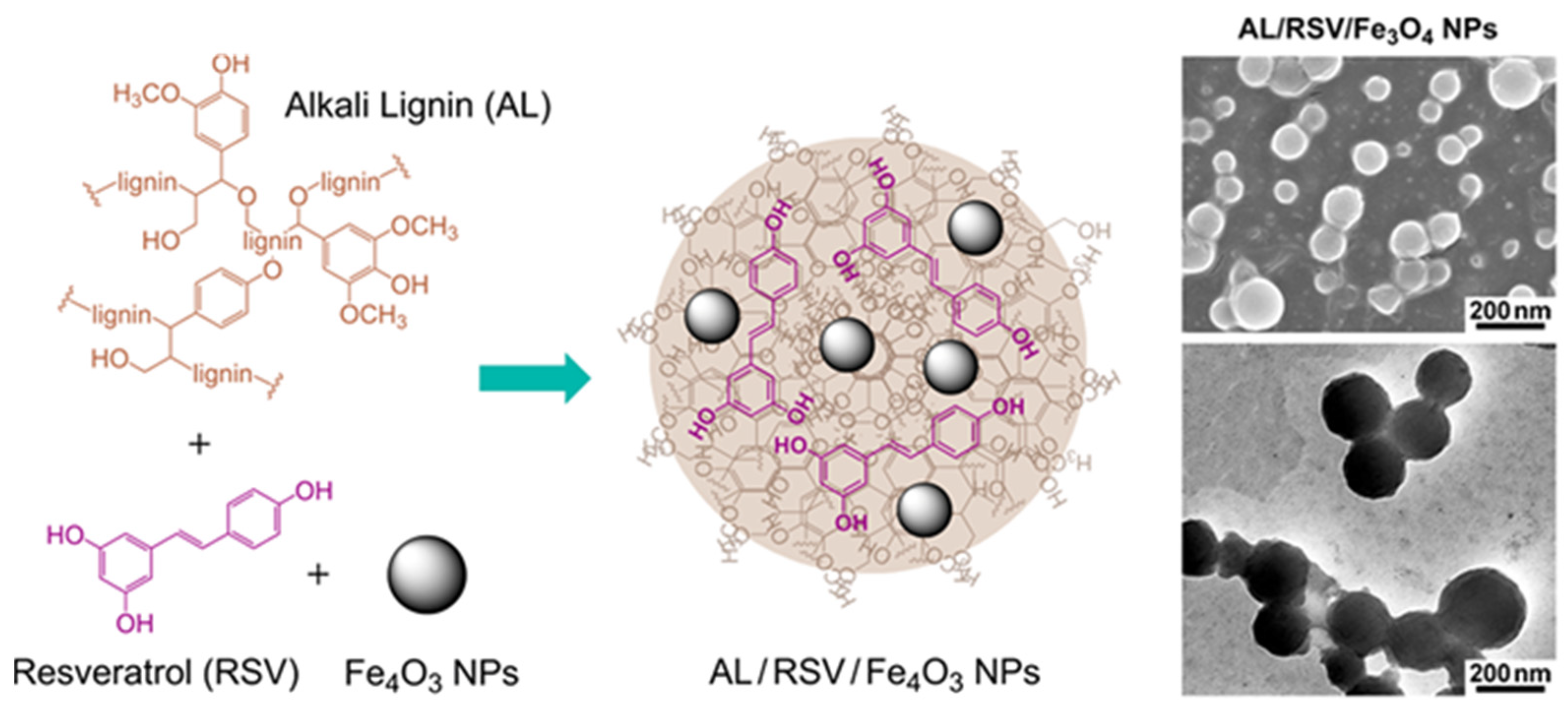 Ijms 23 07254 g002 550