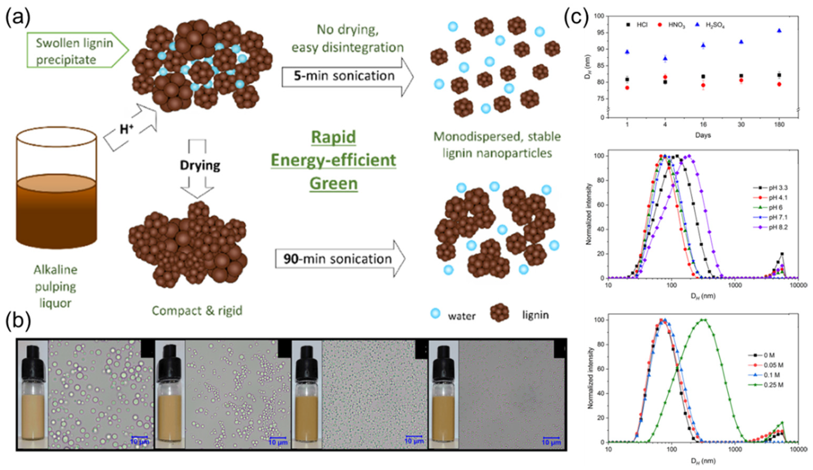 Ijms 23 07254 g004 550