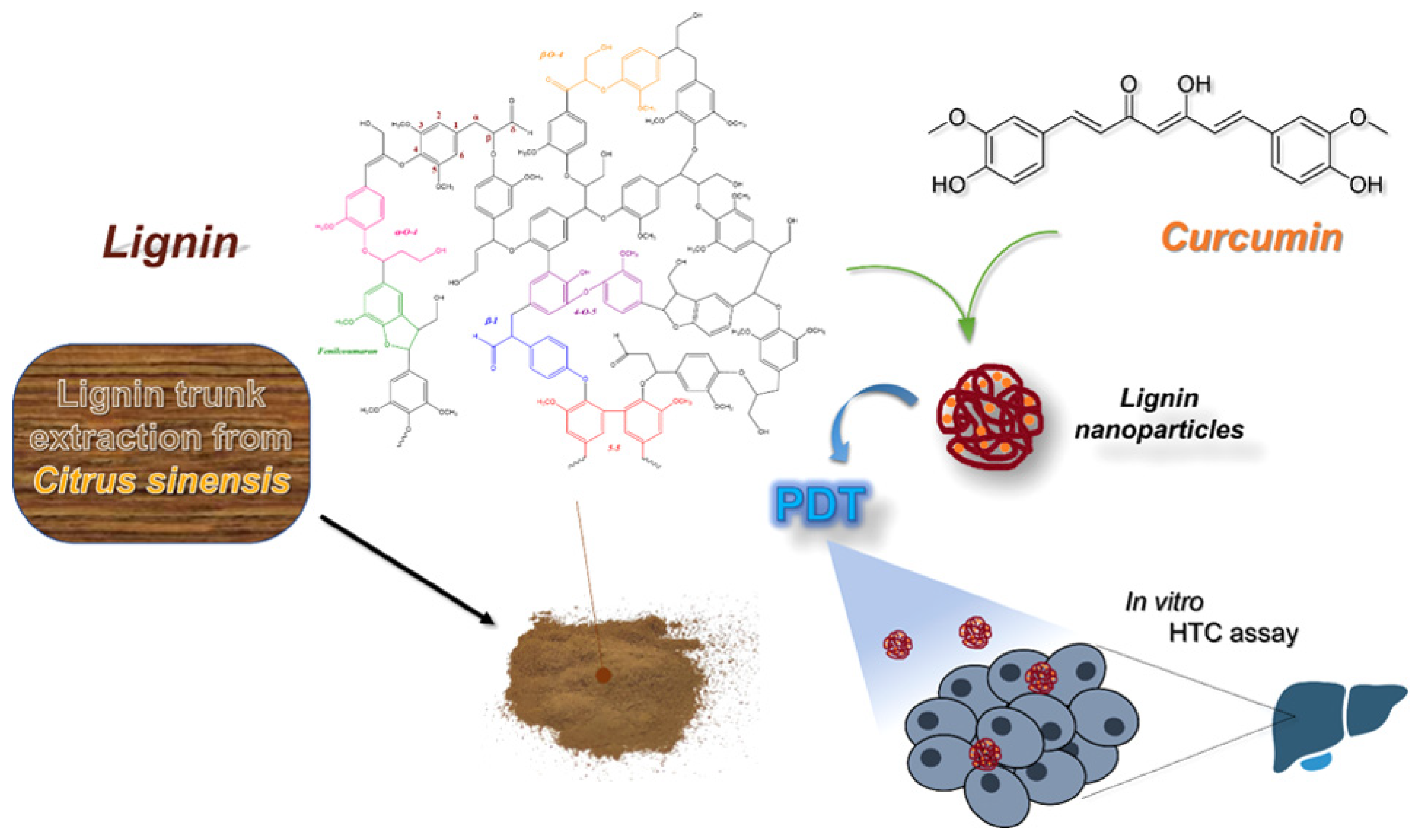 Ijms 23 07254 g009 550