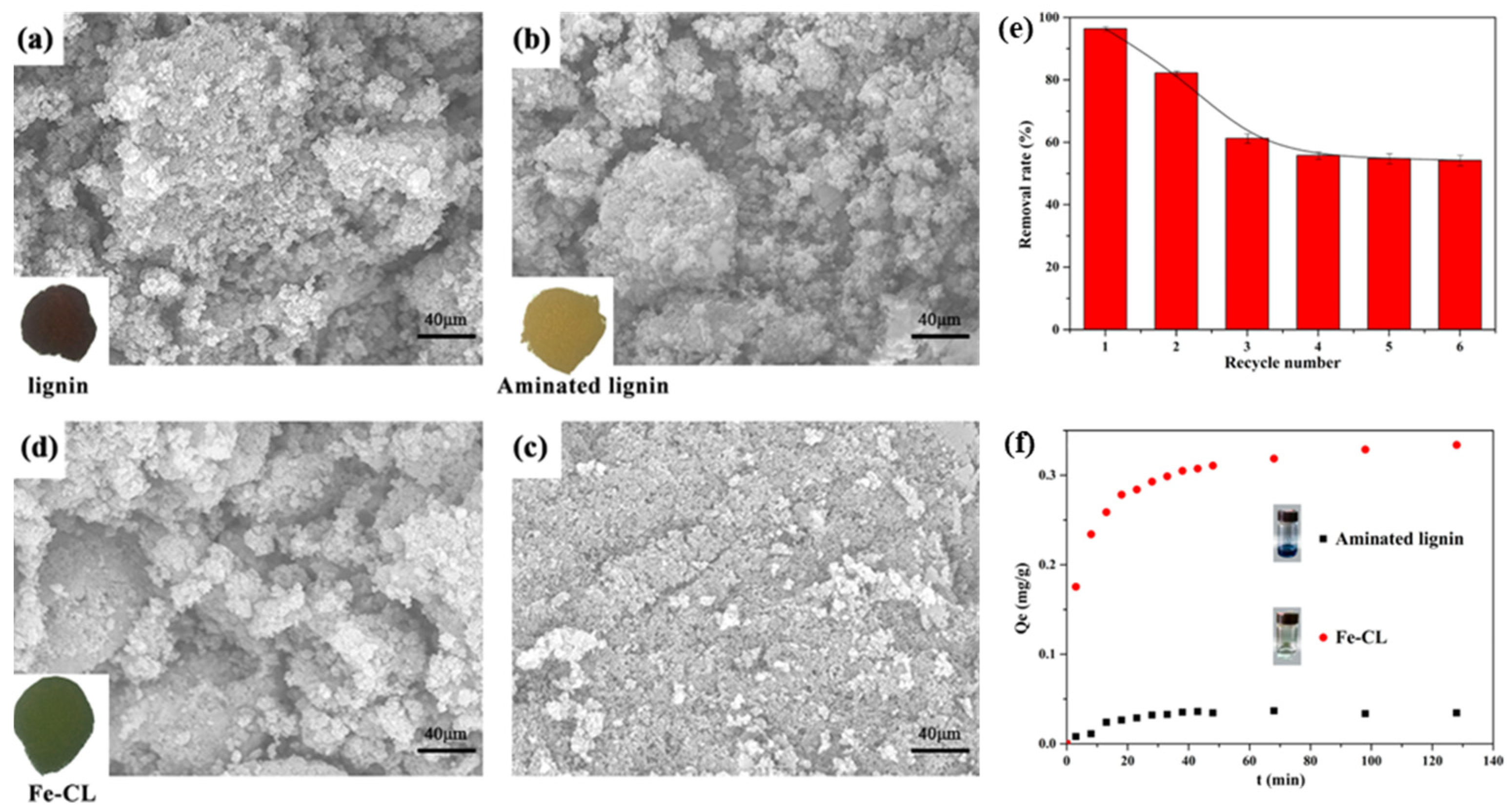 Ijms 23 07254 g010 550